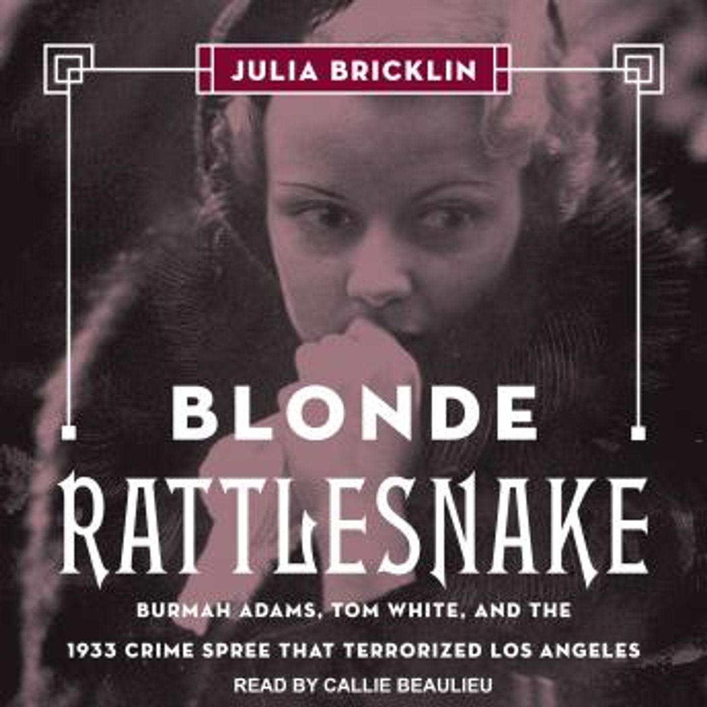 Free Audiobooks in Biography & Memoir, Law & Politics