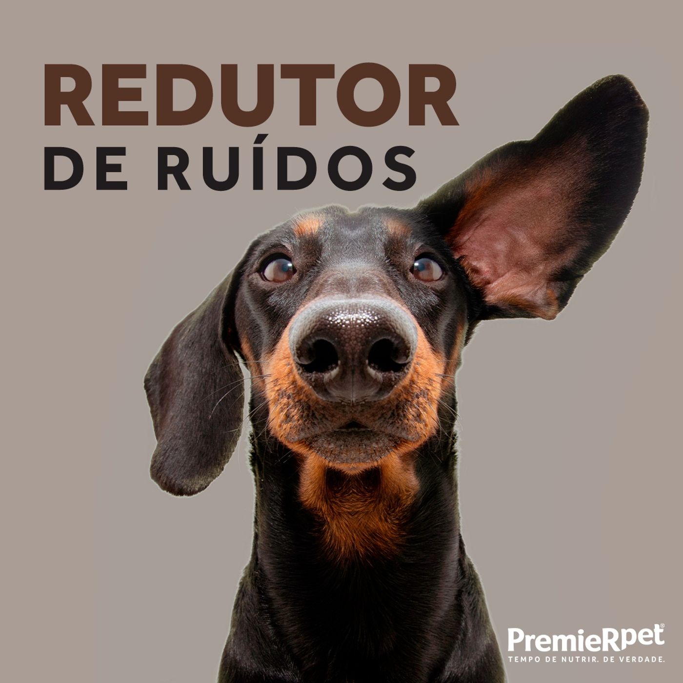 Redutor de Ruídos para Cães e Gatos