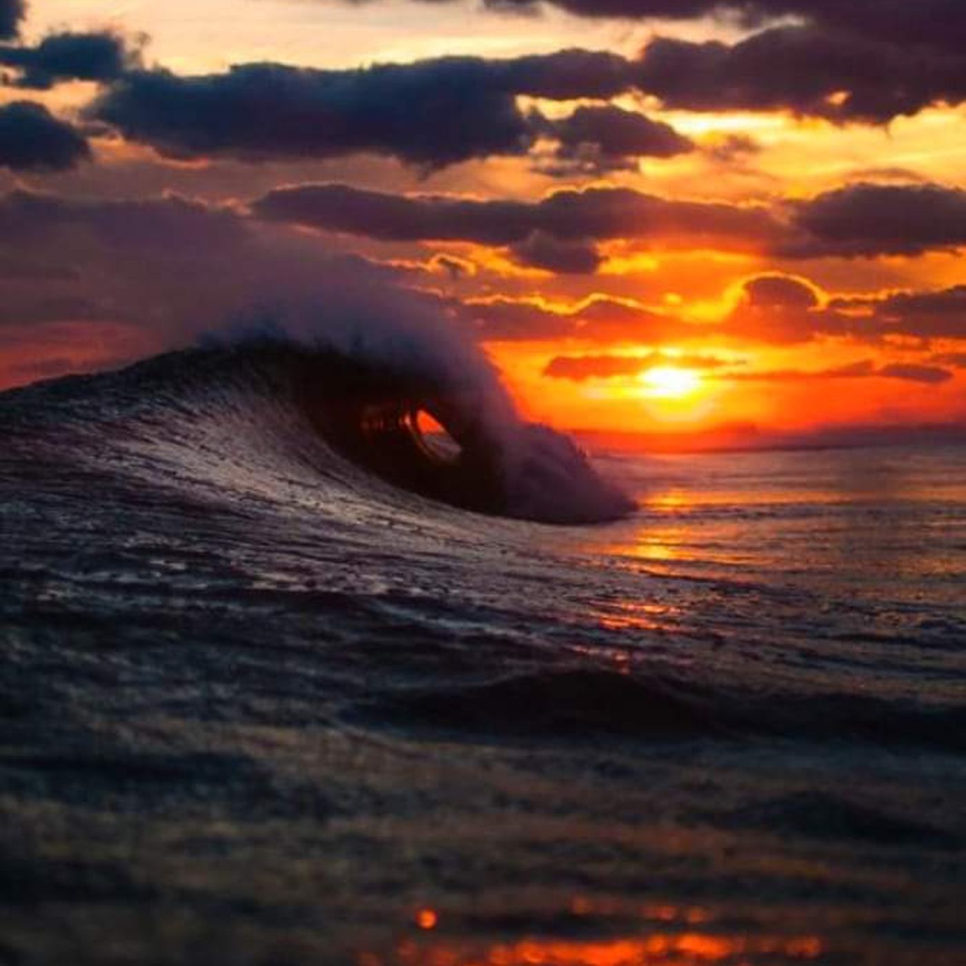 The Daily Battle with Robert John