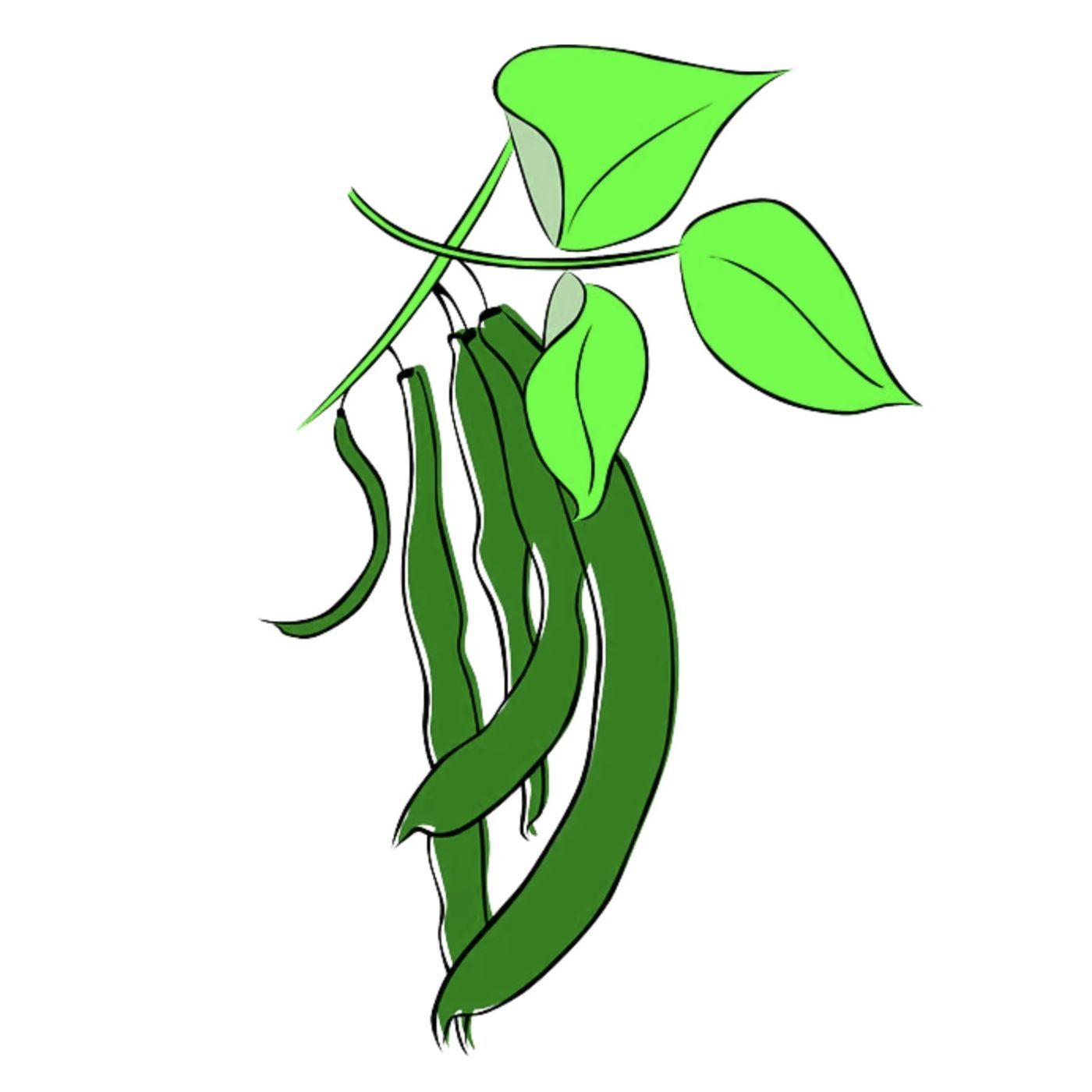 How the Beans Came Up | Educational Stories episode artwork