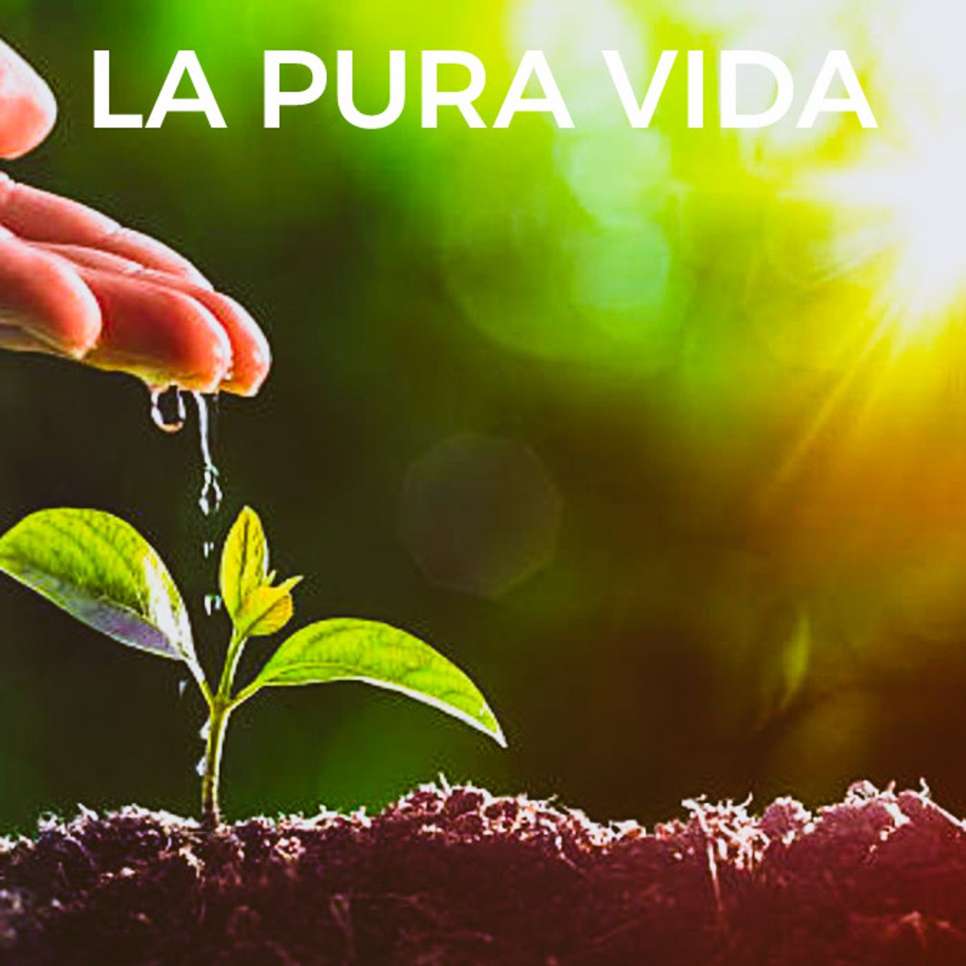 LA PURA VIDA en Radio El Palmar