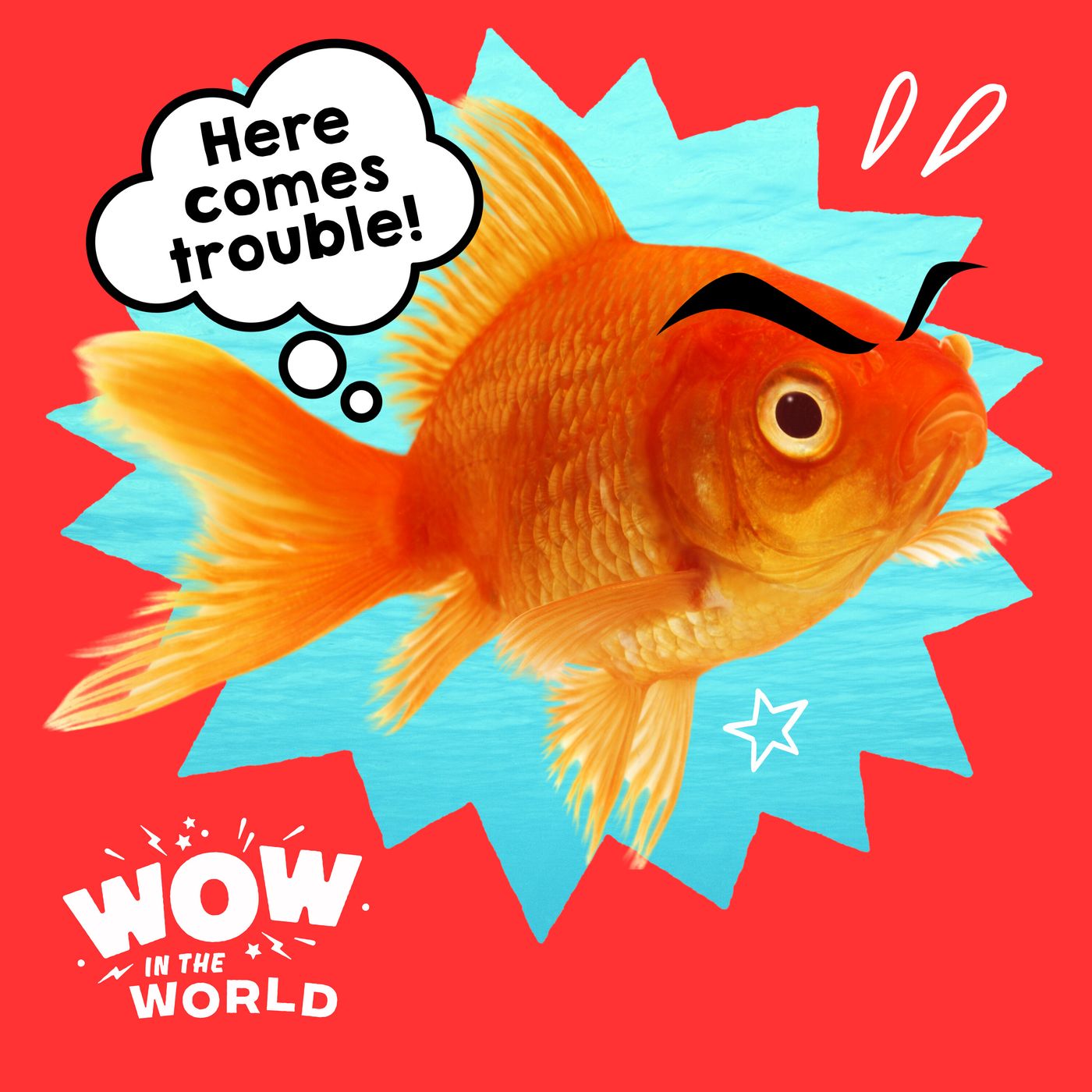 Not All Fin and Games! What Happens to the Ecosystem When Pet Goldfish Go Wild?!