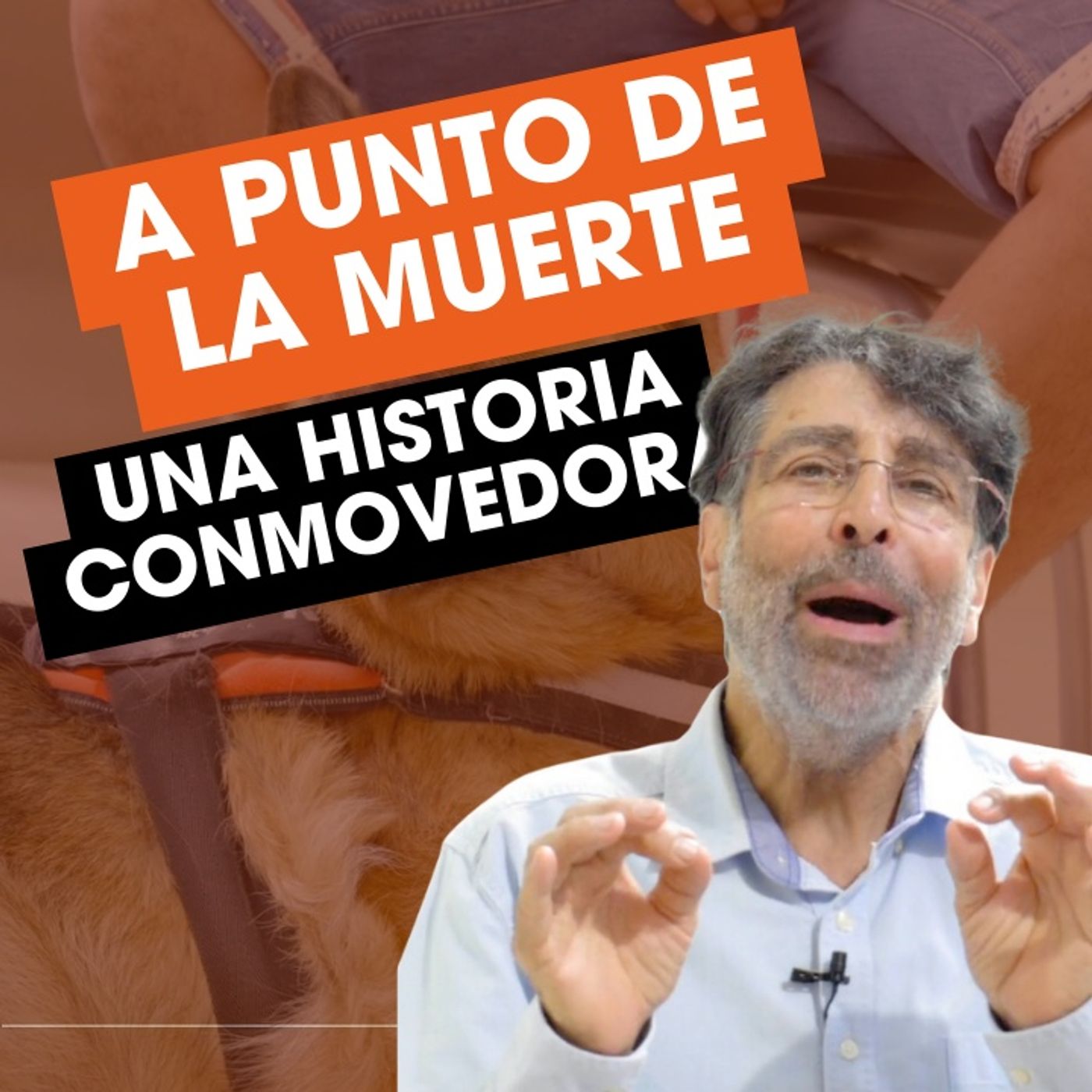 Conrado Animalero