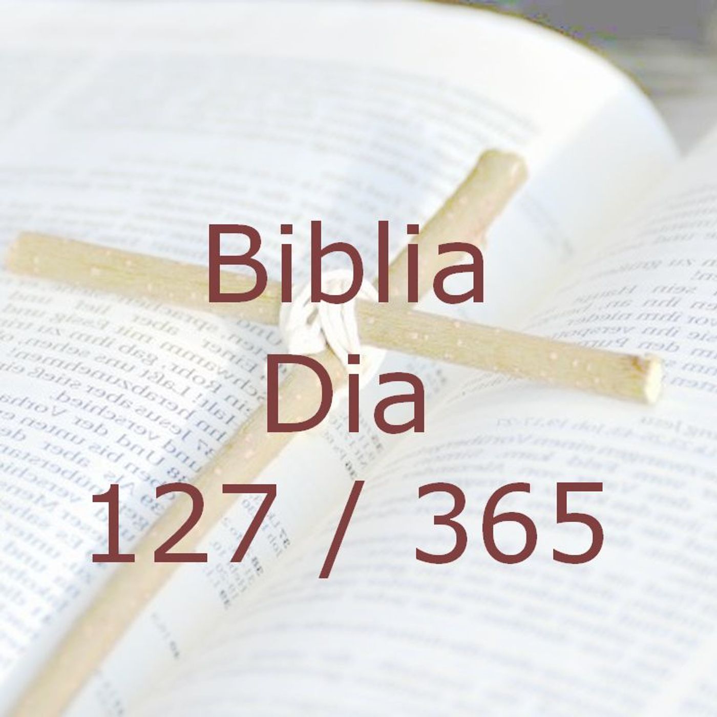 La Biblia en 365 dias
