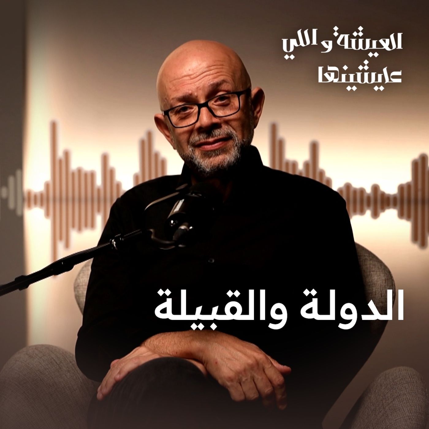 الدولة الديمقراطية الحديثة والعشيرة والقبيلة