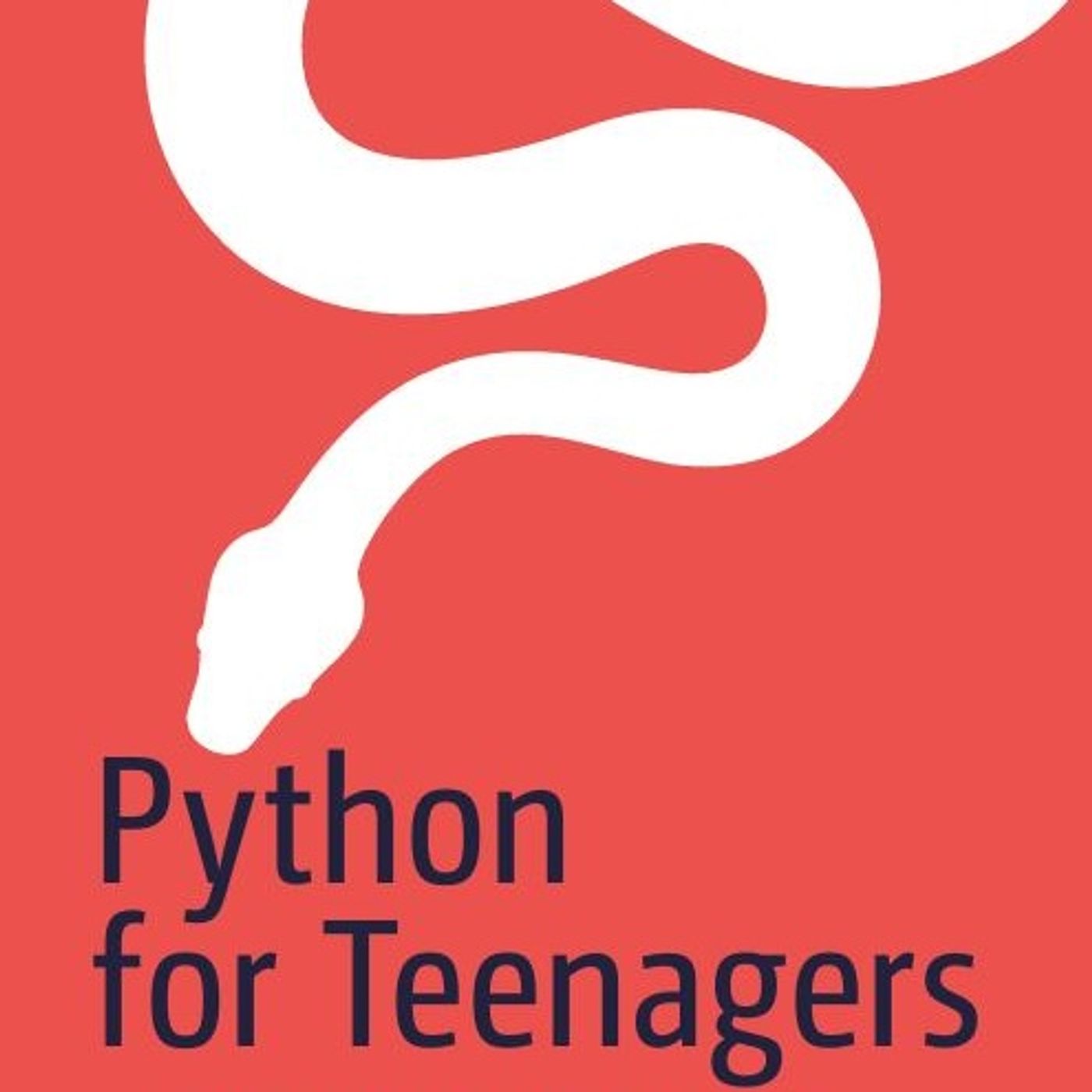 Python for Teenagers: Learn to Program like a Superhero
