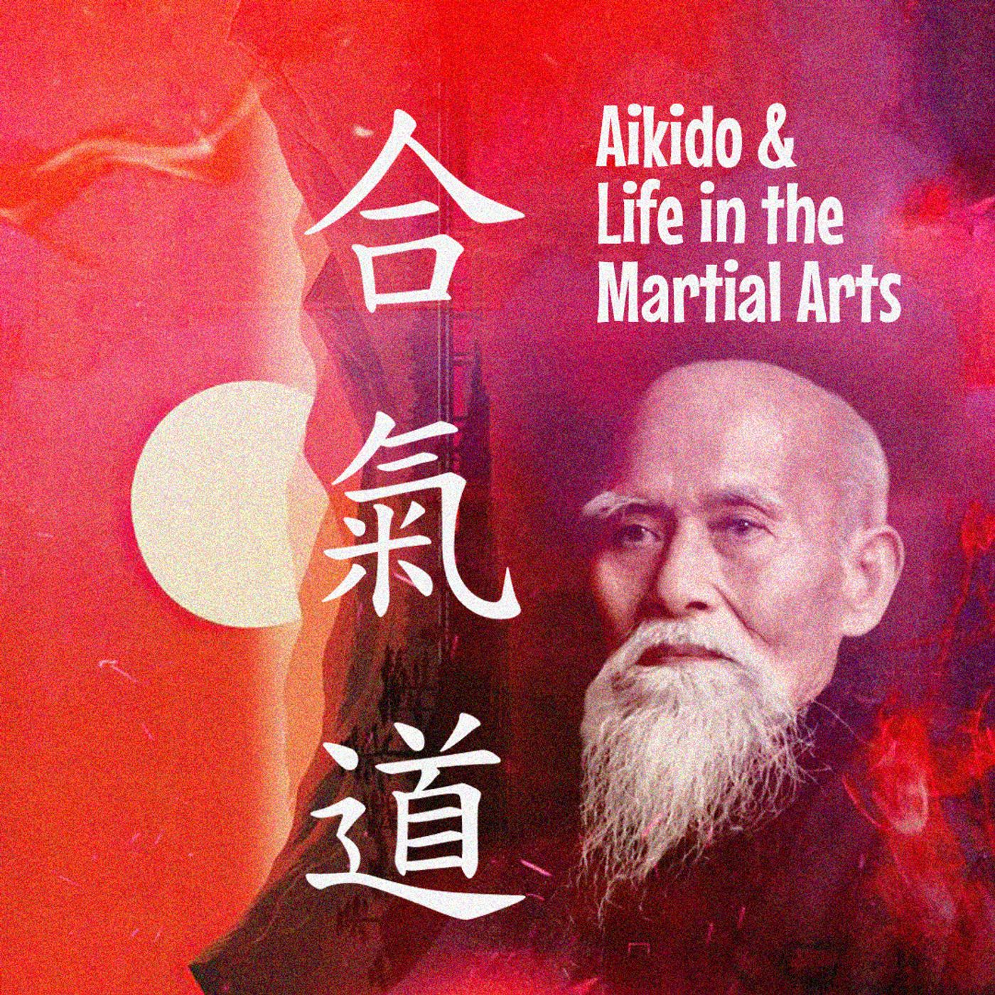 Aikido & Life in the Martial Arts