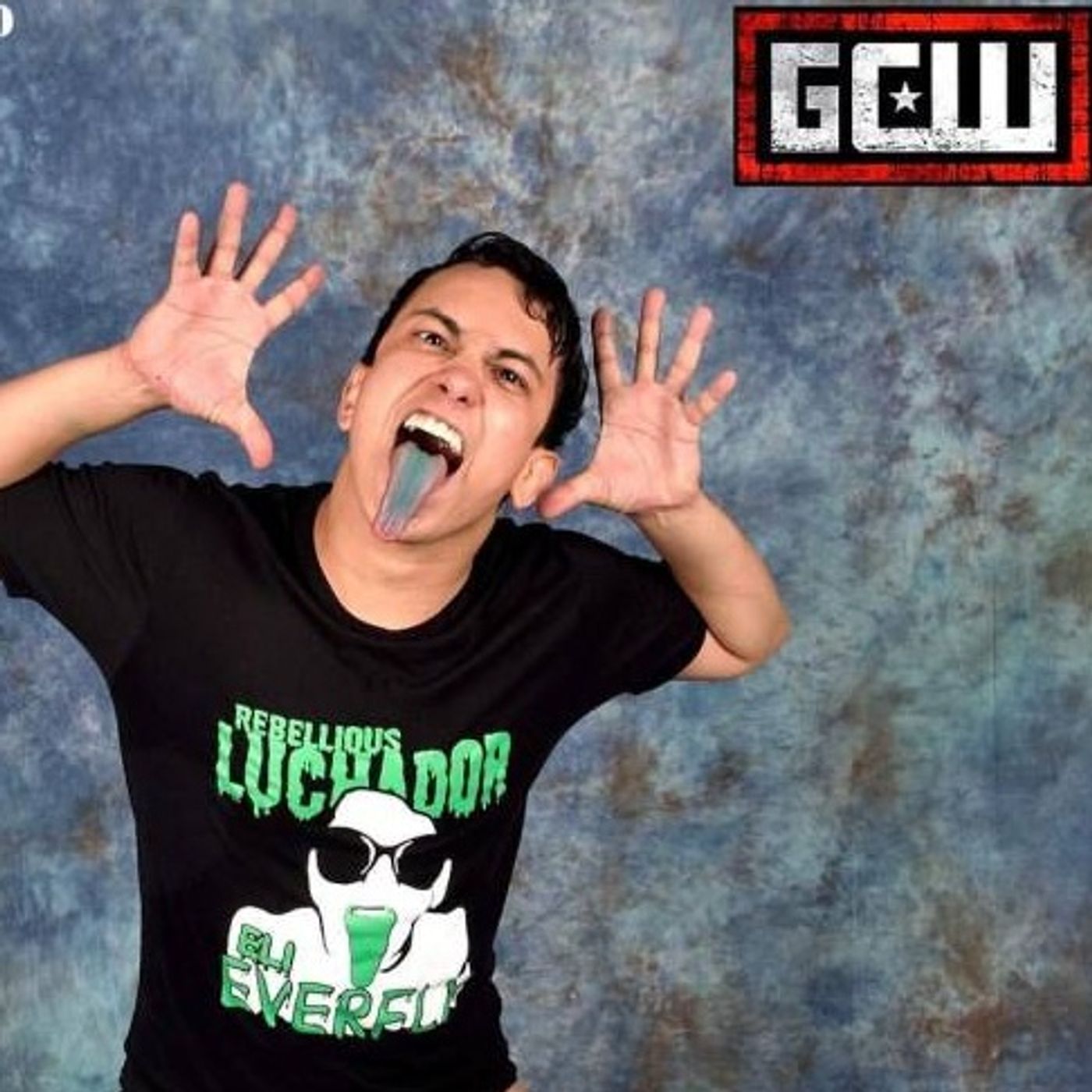 The Wrestling Enthusiast Podcast