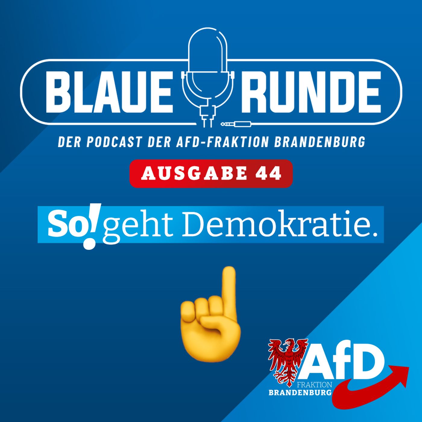 So! geht Demokratie | Die Blaue Runde, Ausgabe 44/23 vom 05. Mai 2023 episode artwork