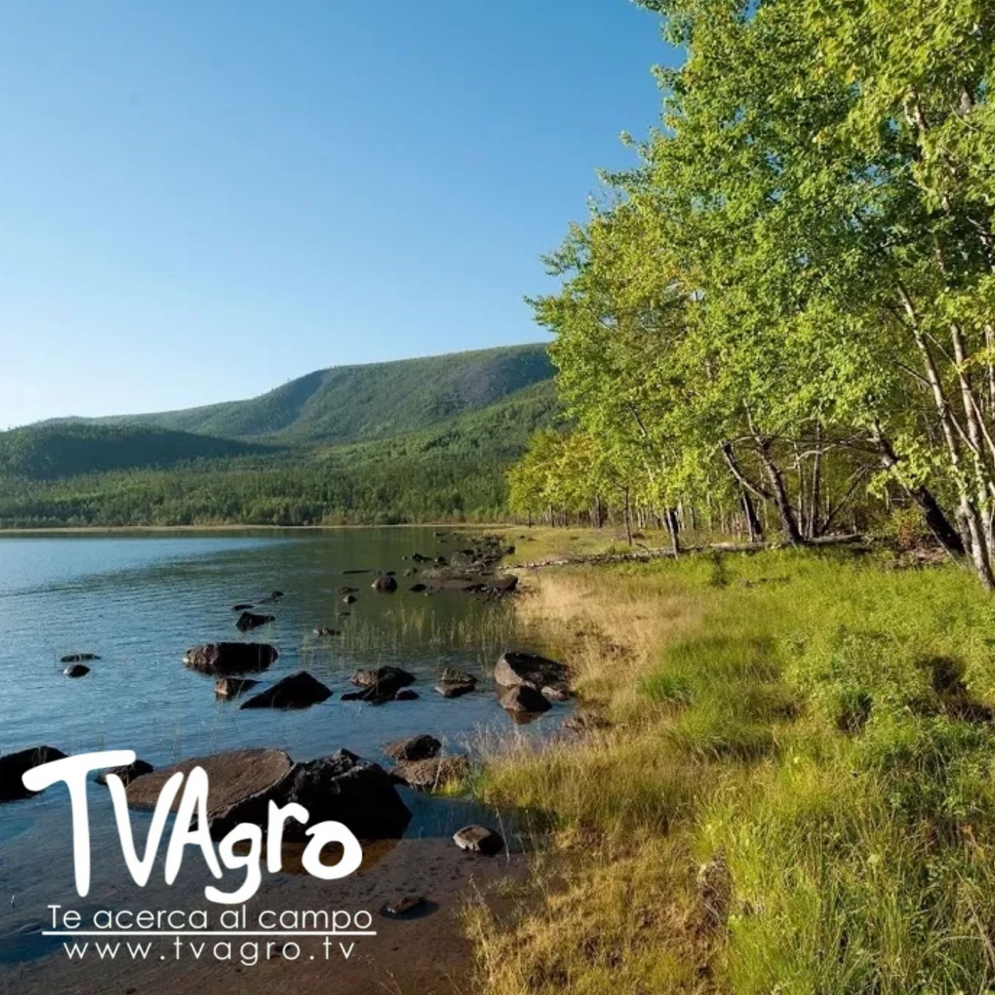 TV AGRO