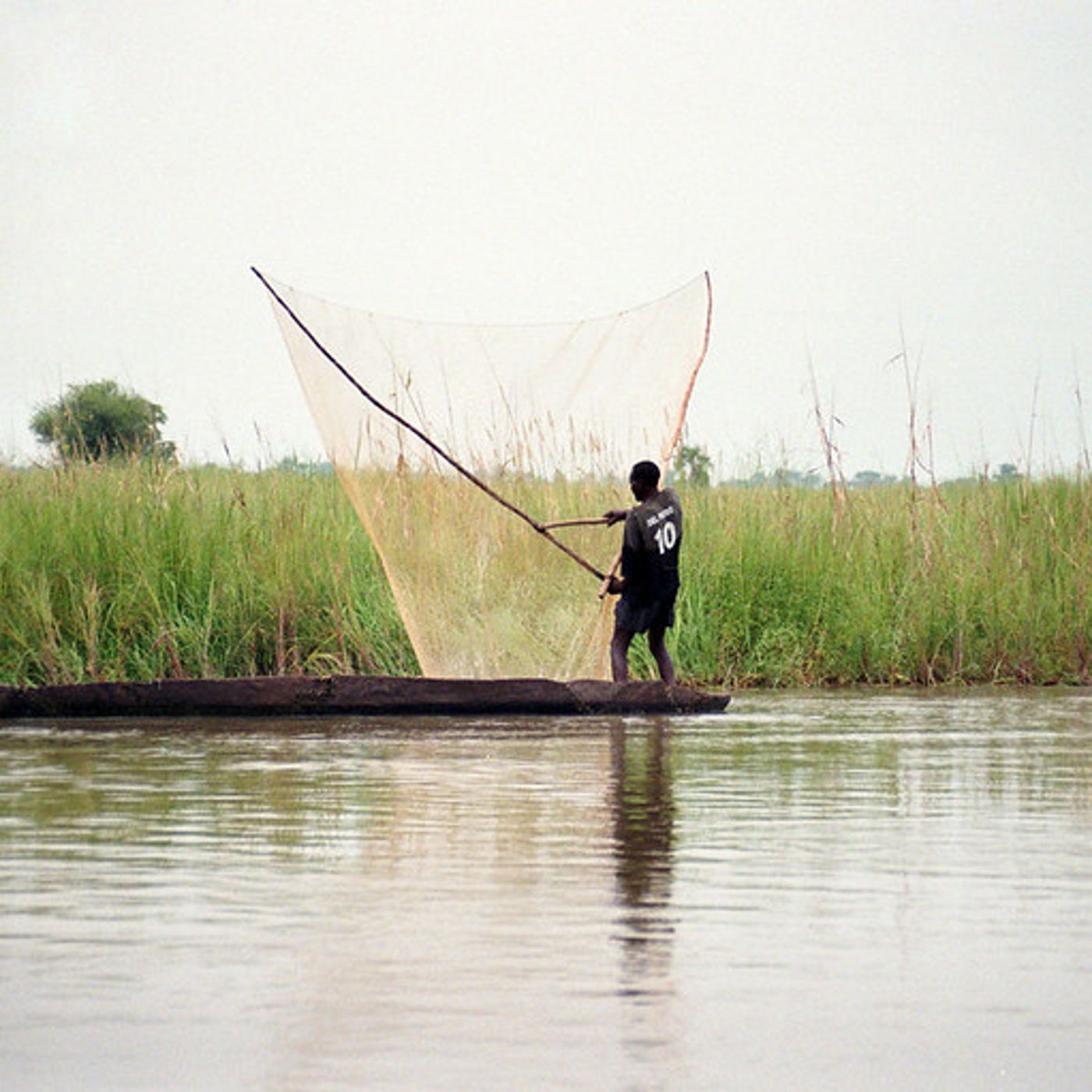 Le journal du 10 juin 2025 - Plus de 20 tonnes de poissons pêchées dans le lac de Madarounfa episode artwork