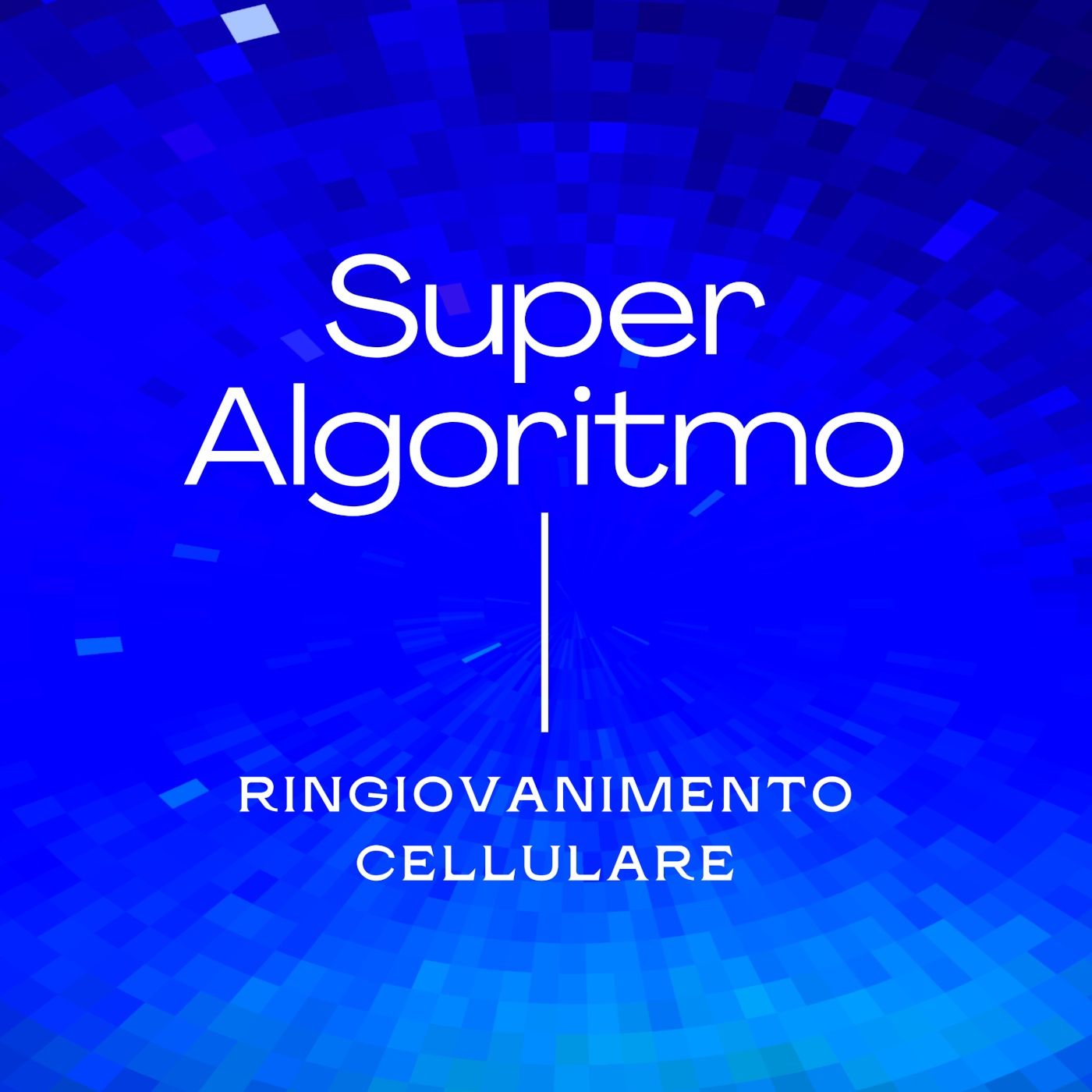 Algoritmi e altre storie