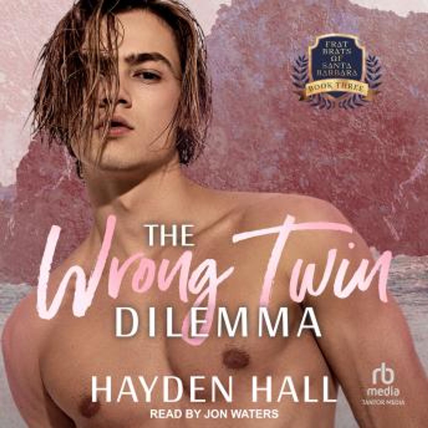 The Wrong Twin Dilemma by Hayden Hall episode artwork