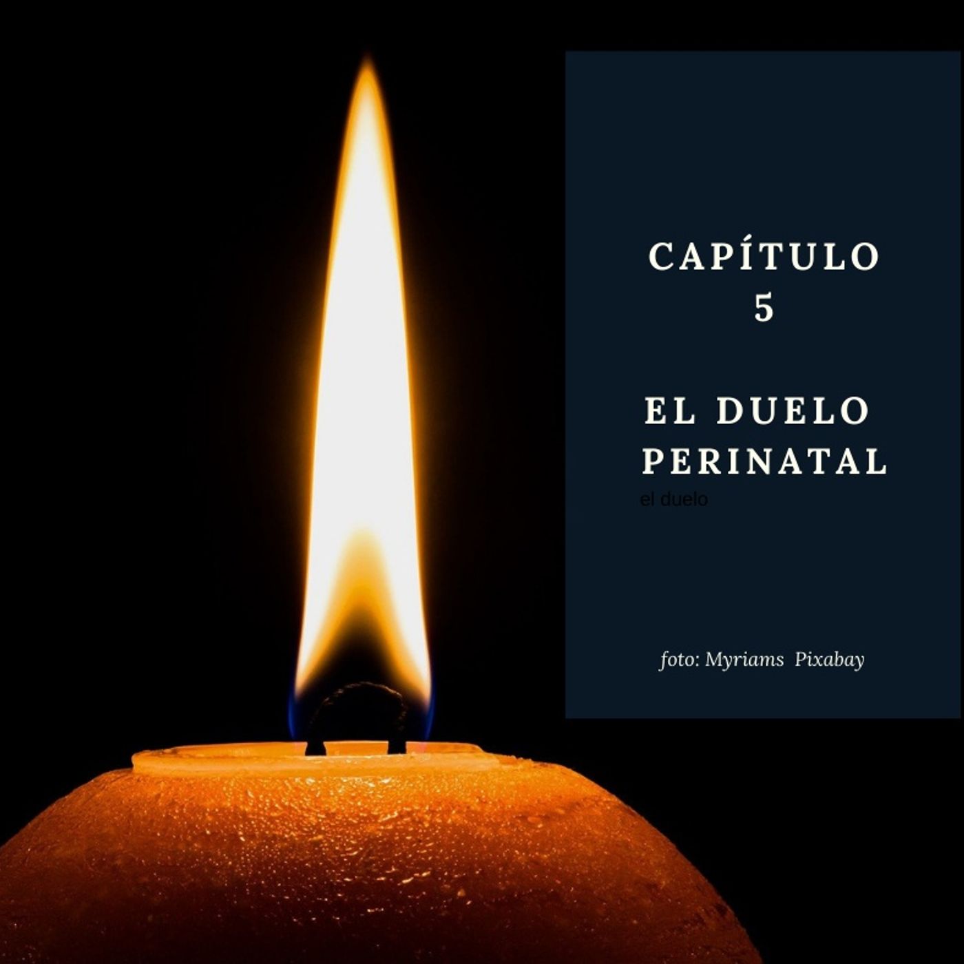 El diván de Sara - psicología