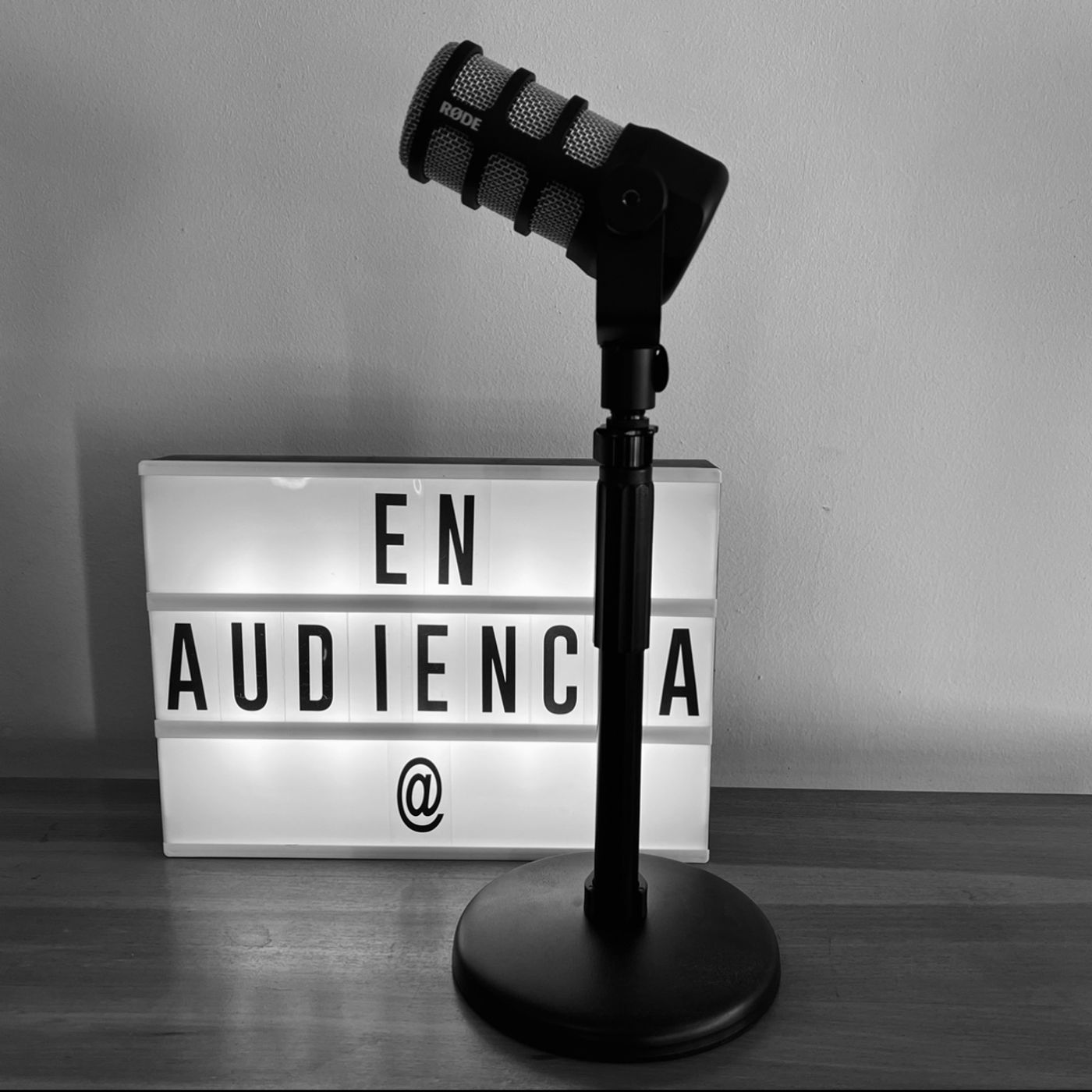 EN AUDIENCIA
