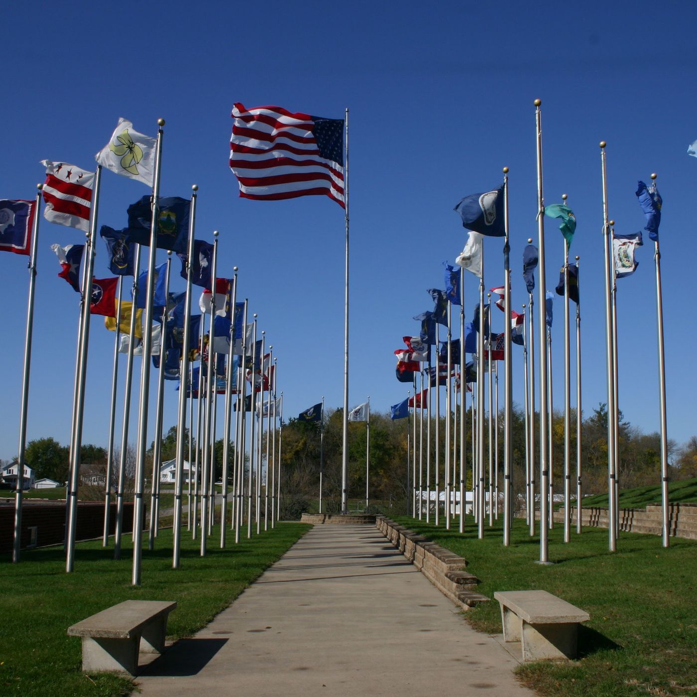 Flag Day in Brooklyn episode artwork