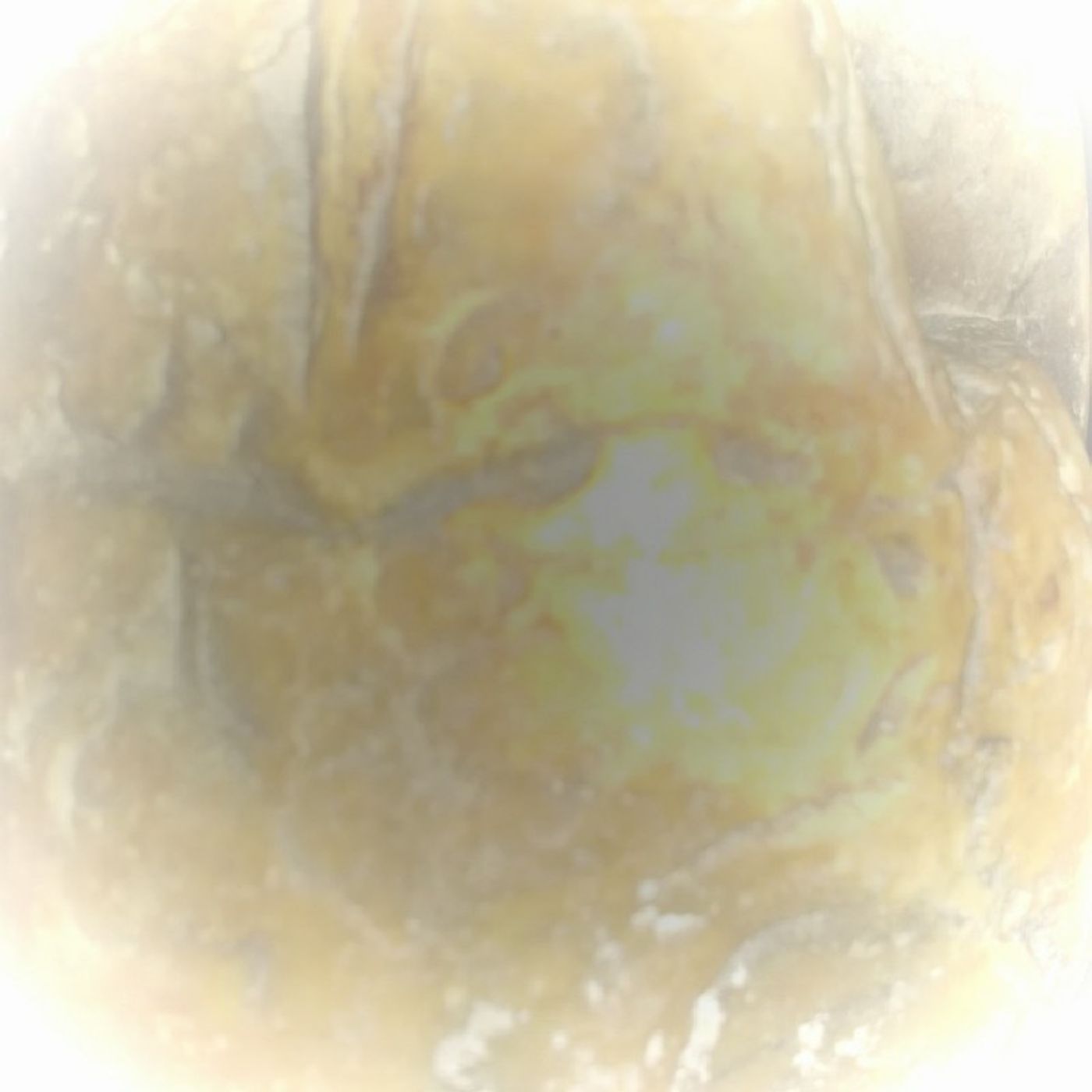 《《~The Most Jai Creationist~》》