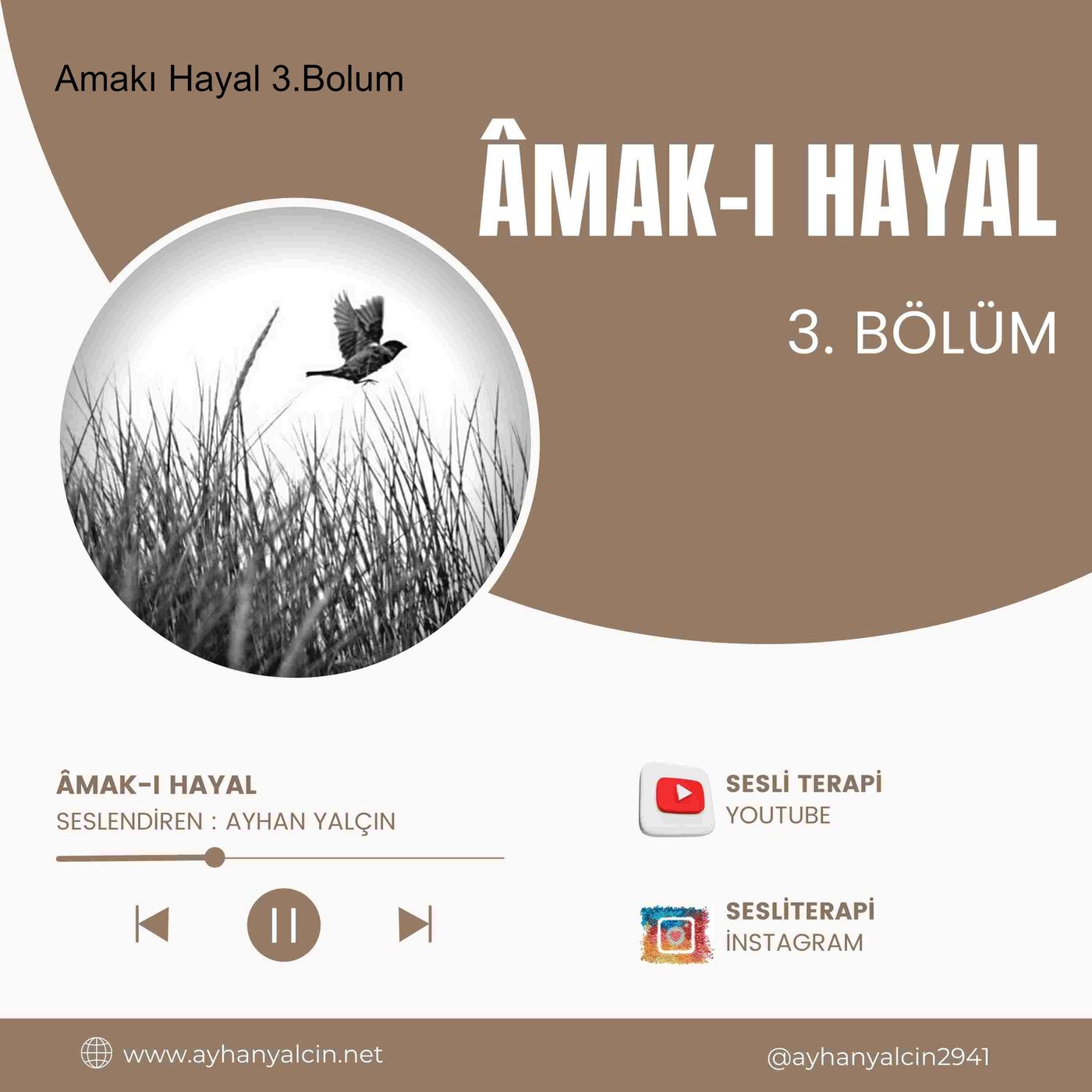 Ayhan Yalçın
