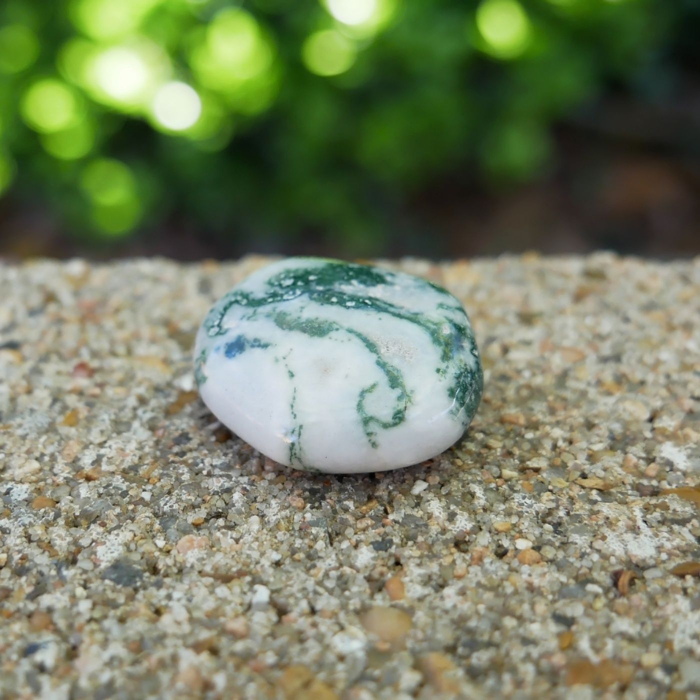 Tree Agate Meaning Benefits and Spiritual Properties