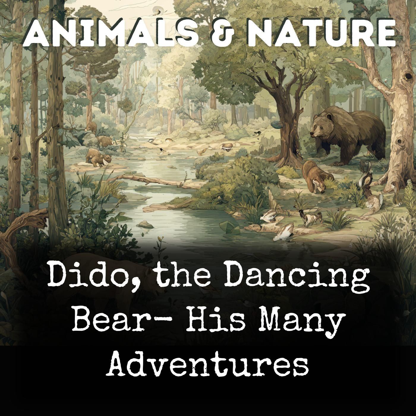 Dido, the Dancing Bear- His Many Adventures cover art