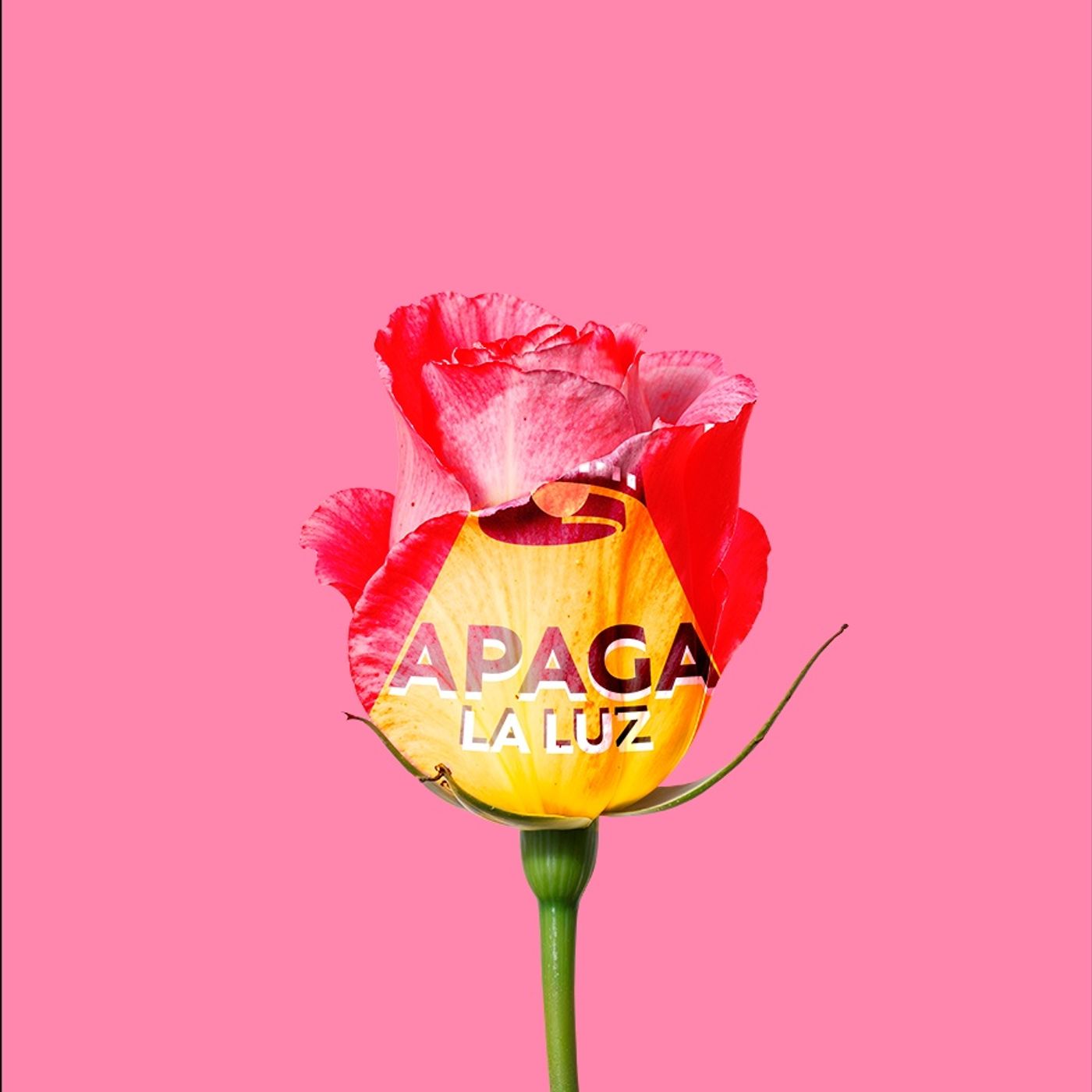 T. 2 | Episodio Especial del día de las Madres episode artwork