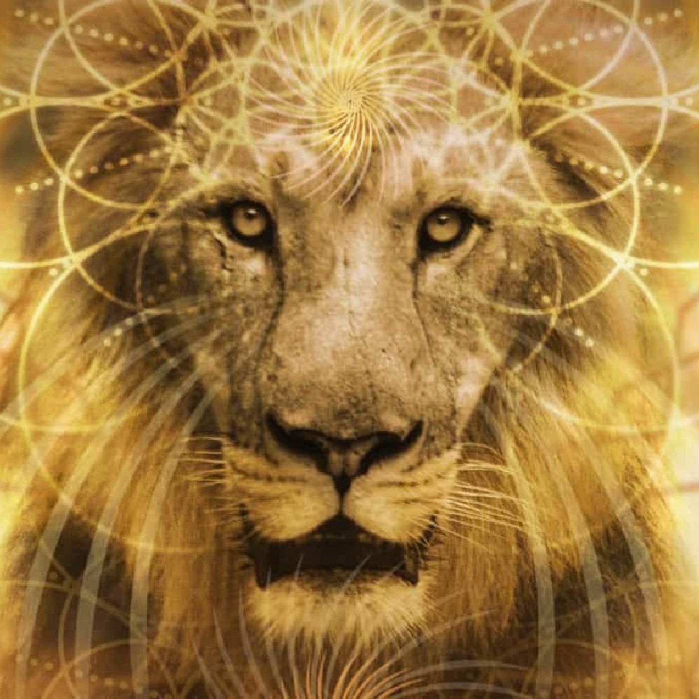 Rise&Shine Divine Wisdom