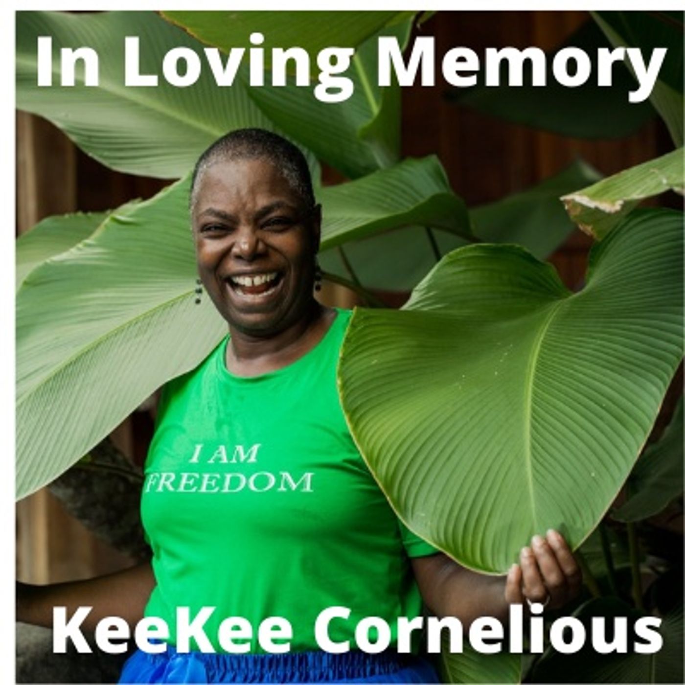 The Sheema Show:  Inspiring and Empowering Women To Live Beyond Motherhood