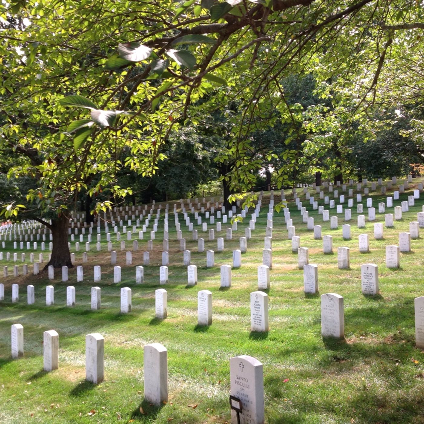 Around the World: Arlington National Cemetery episode artwork