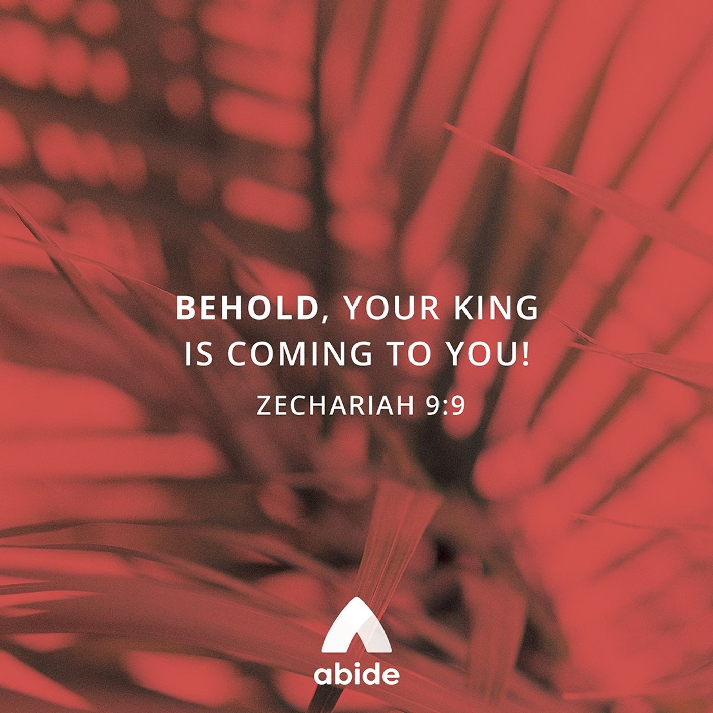 Passion Week: The Triumphal Entry