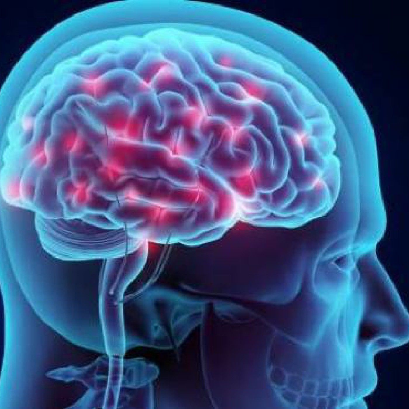 Victoria Sobre La Carne