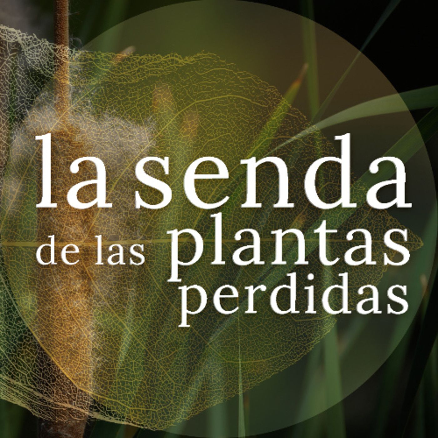 La Senda de las Plantas Perdidas