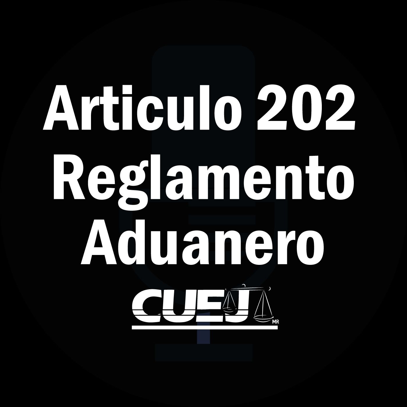 Reglamento de la ley aduanera