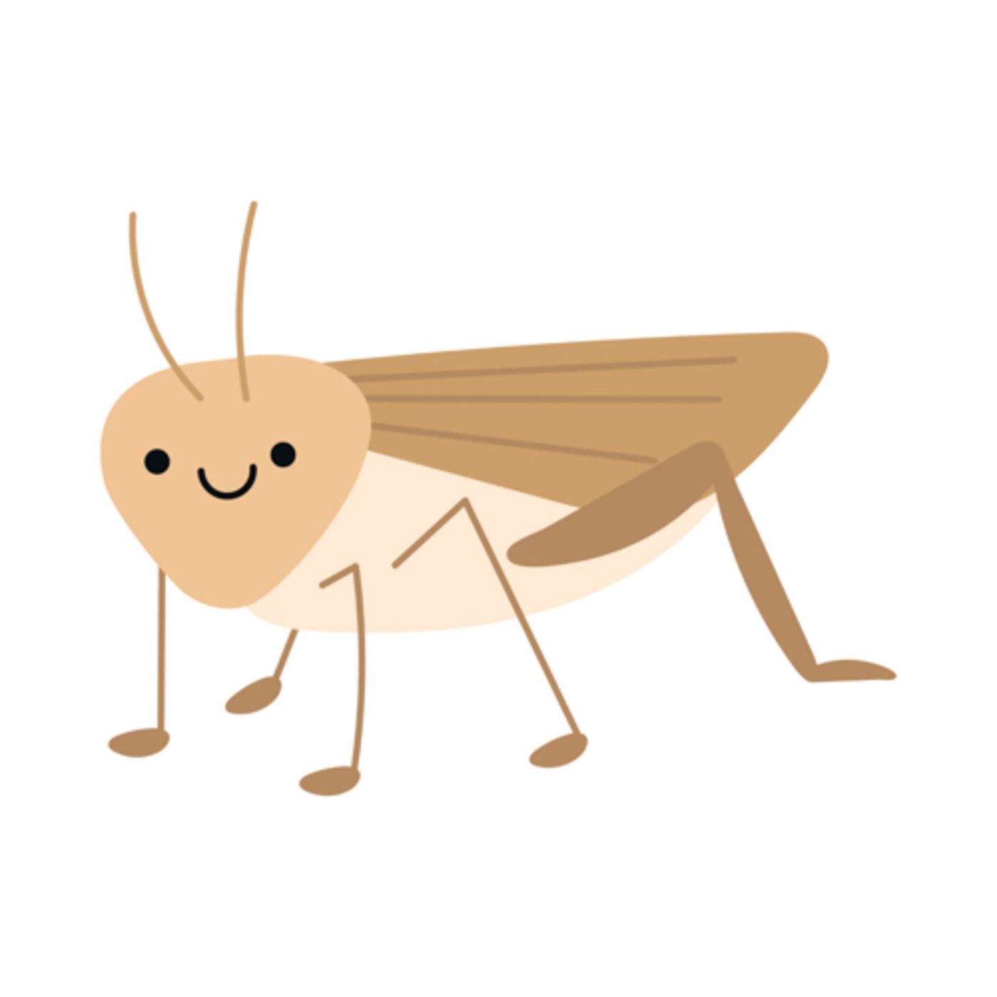 6 historias del grillo Lopez