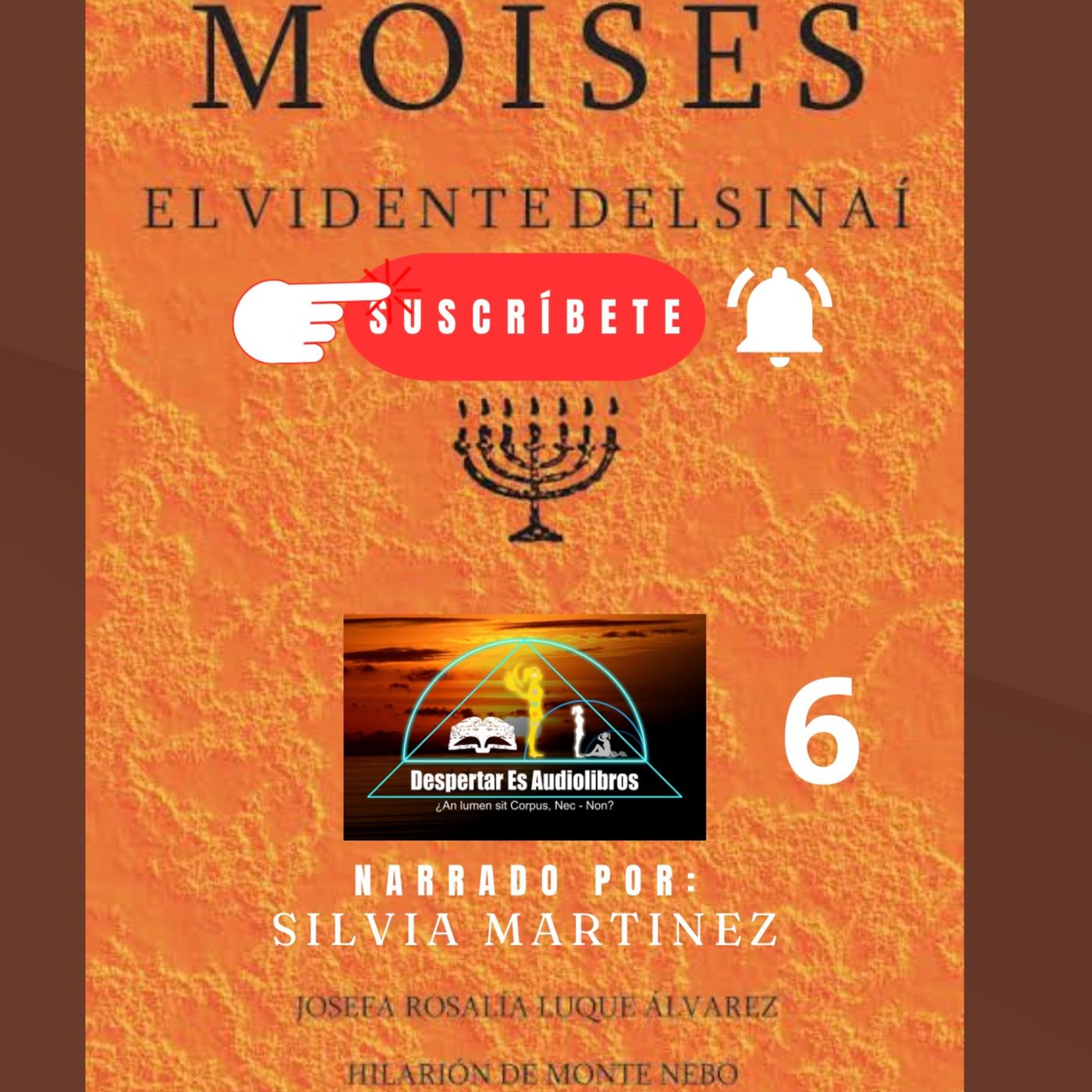 La Voz Interior. Silvia Martínez1