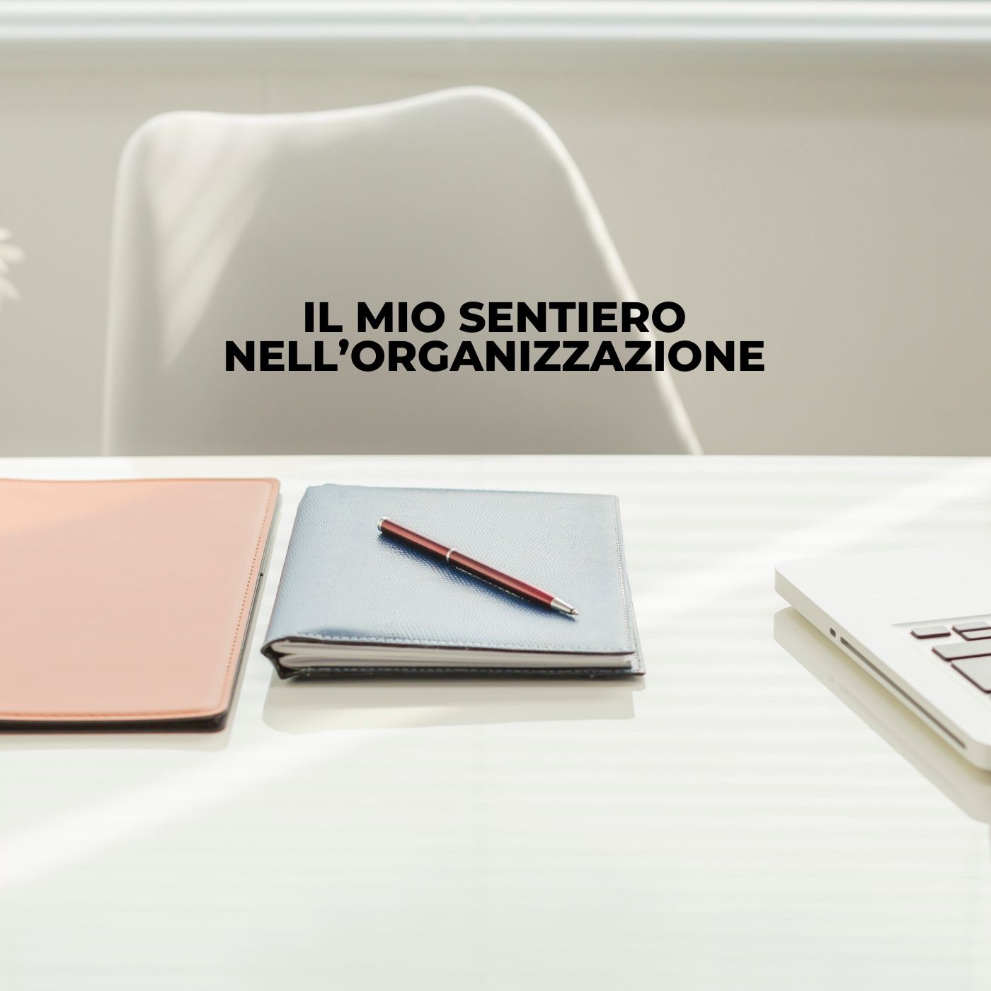 "Il mio sentiero dell'organizzazione" cover art