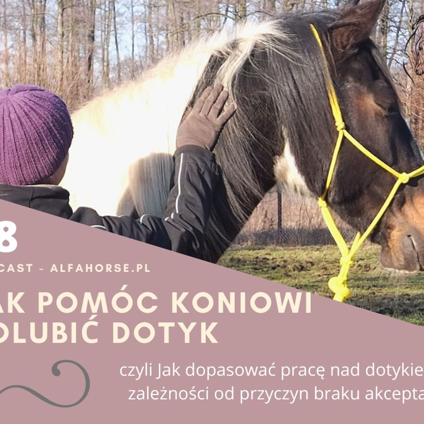 Podcast 18: Jak pomóc koniowi polubić dotyk