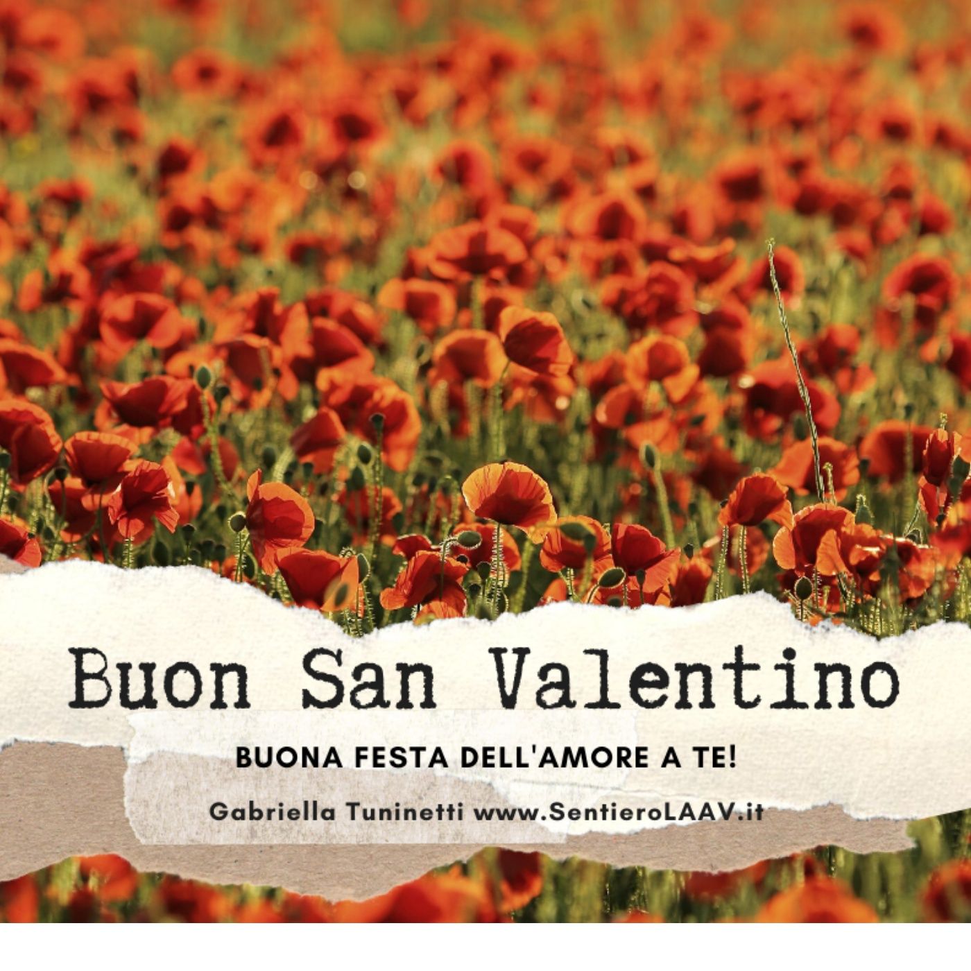 Buona Festa dell'Amore a Te! episode artwork