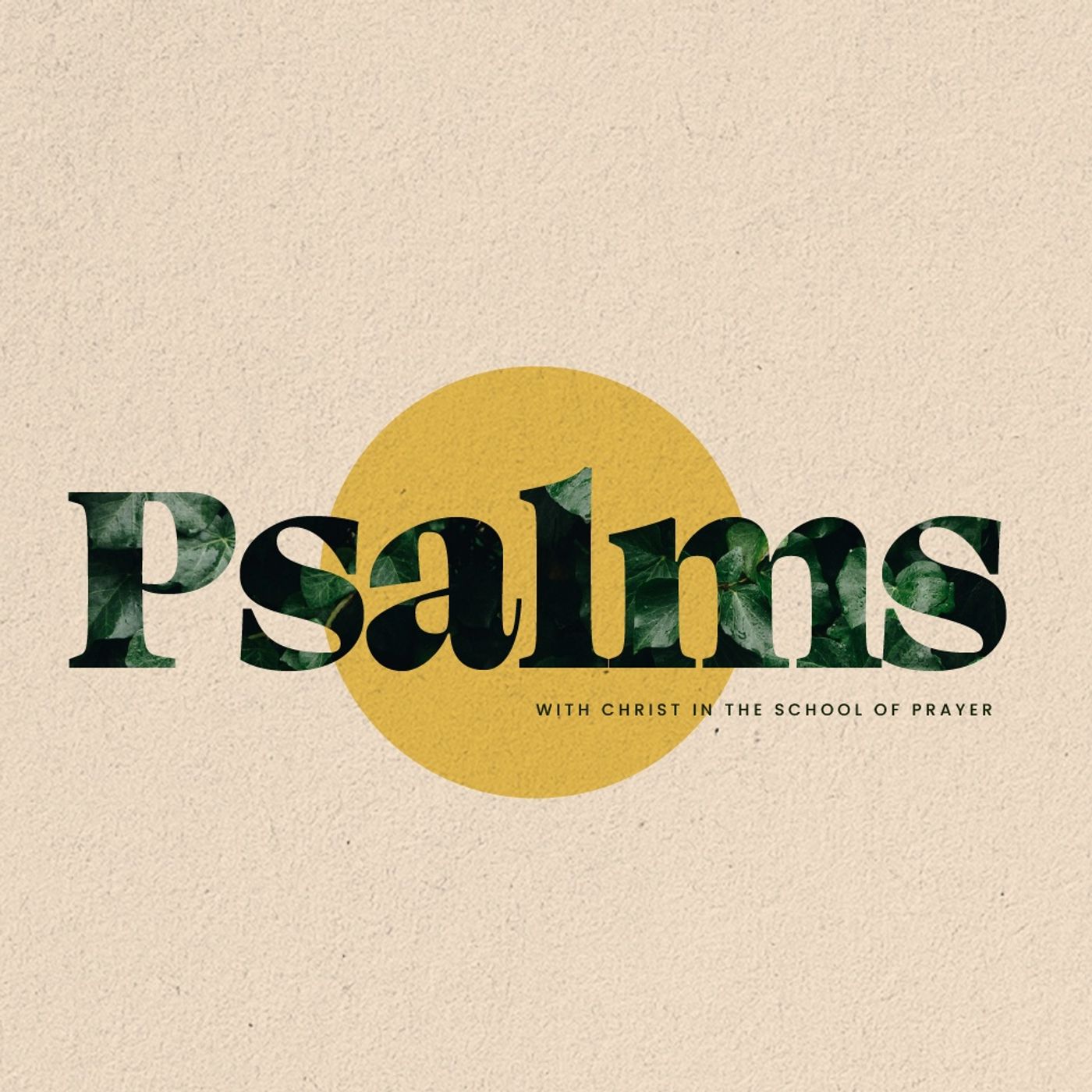 Psalms: Psalm 19