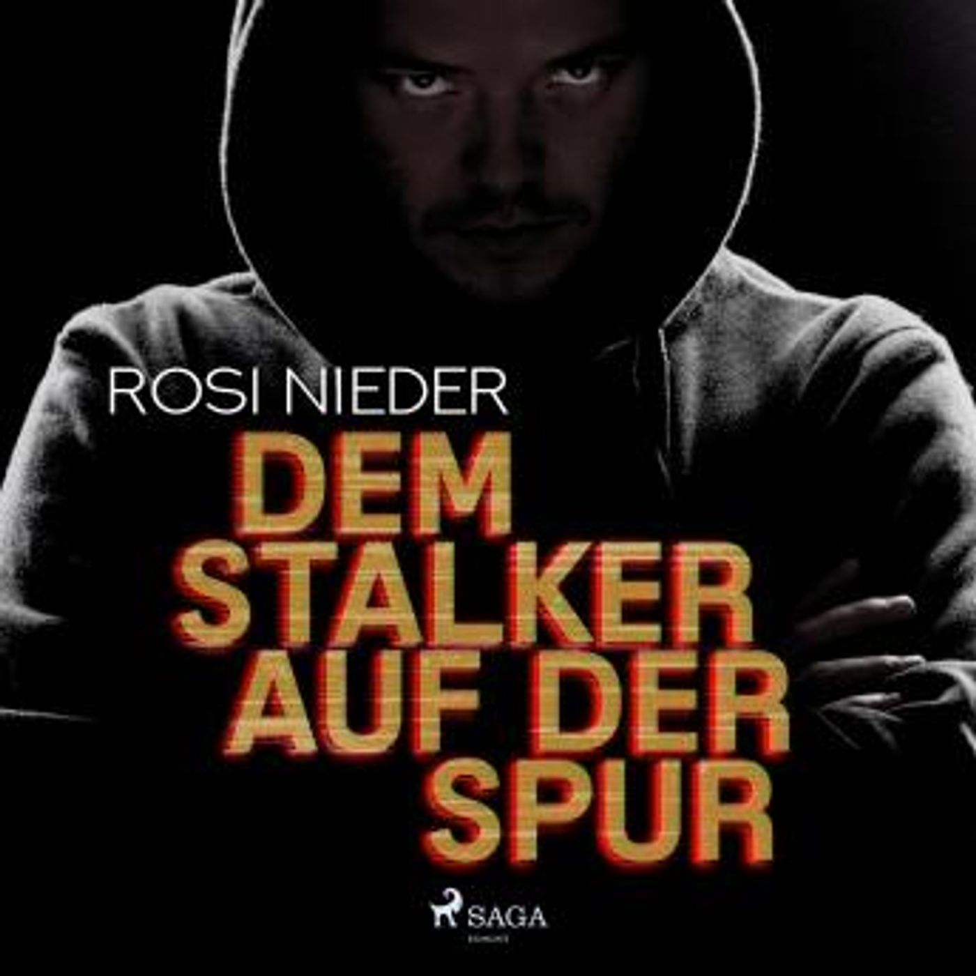[German] - Dem Stalker auf der Spur - Kriminalroman (Ungekürzt) by Rosi Nieder episode artwork