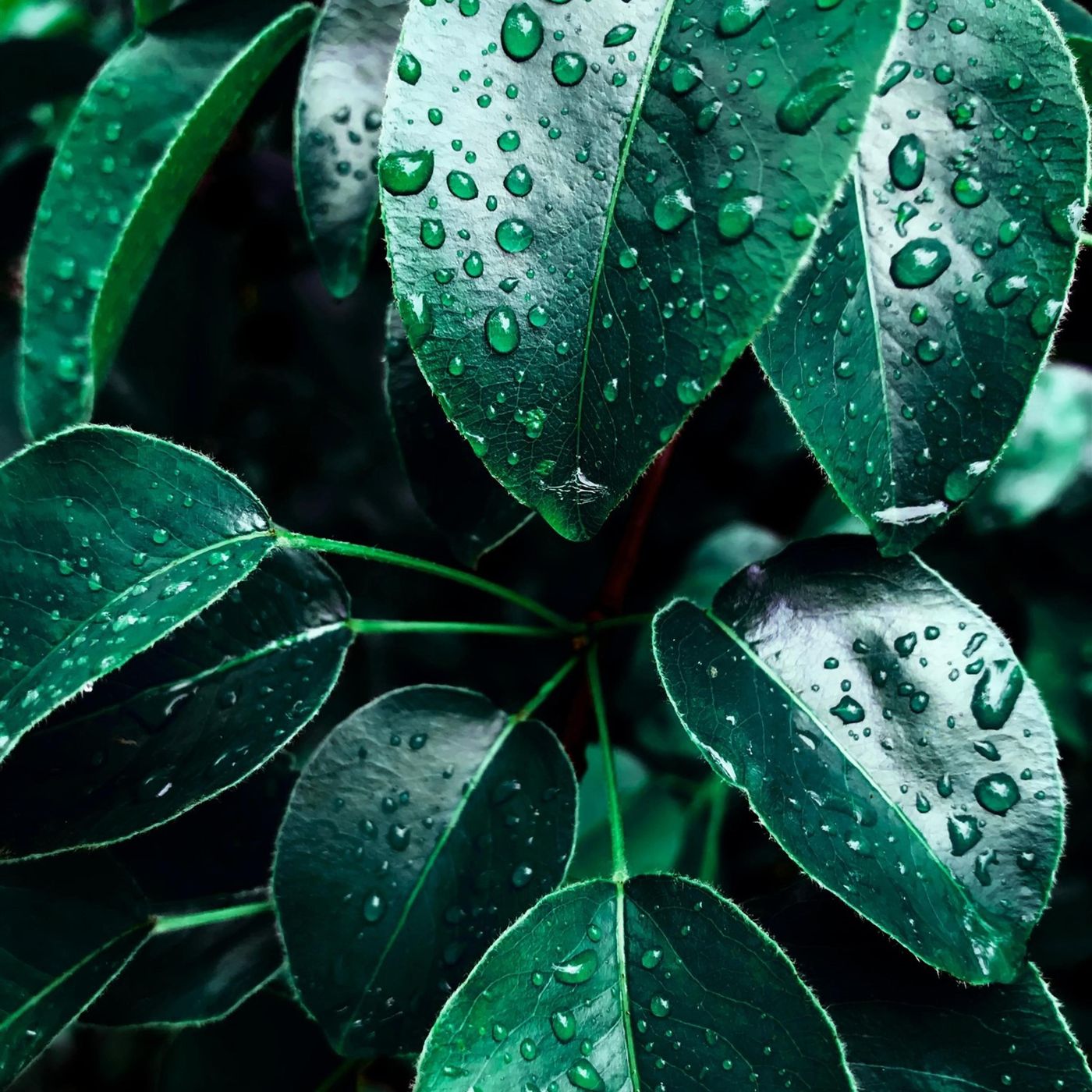 Sleep Sounds by Tmsoft