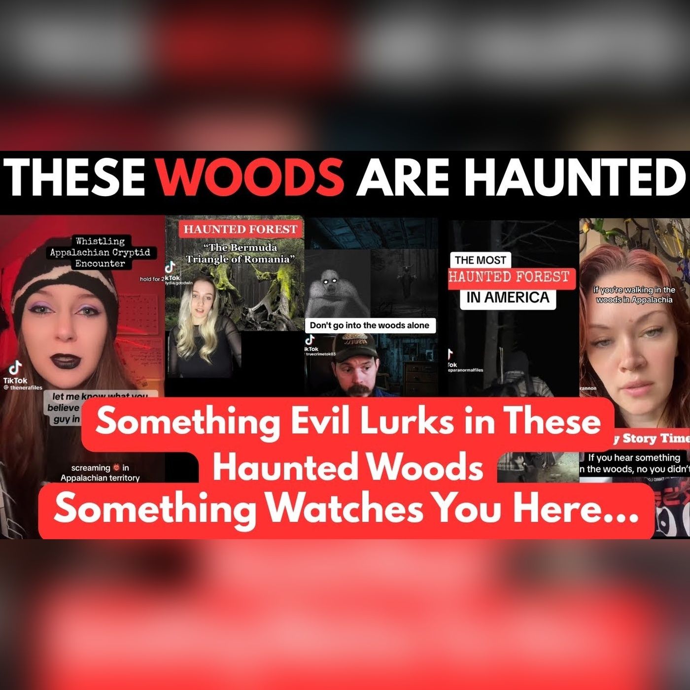 7 Haunted Woods Stories That Turn Every Footstep Into a Warning episode artwork