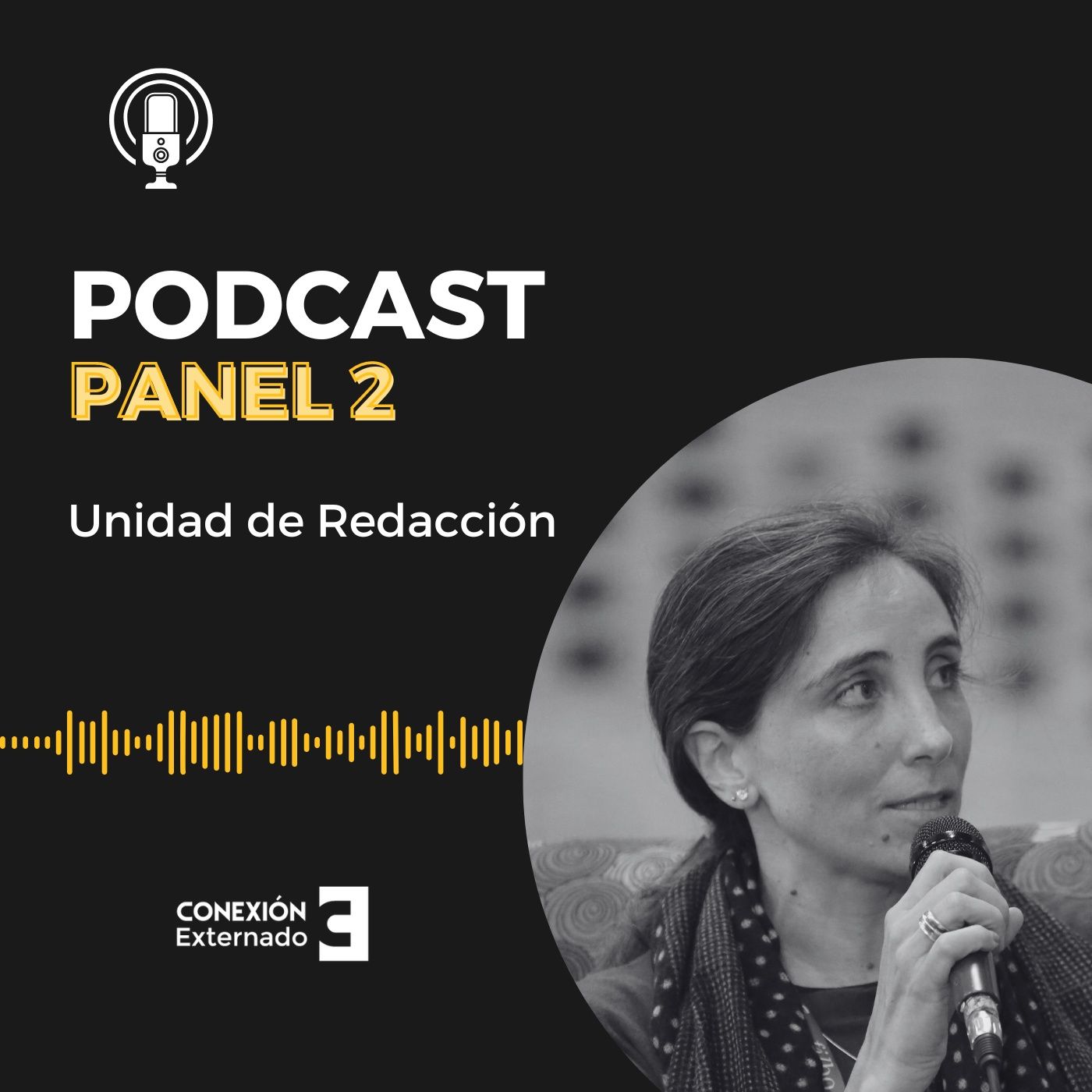 Portada de PODCAST CONEXIÓN EXTERNADO