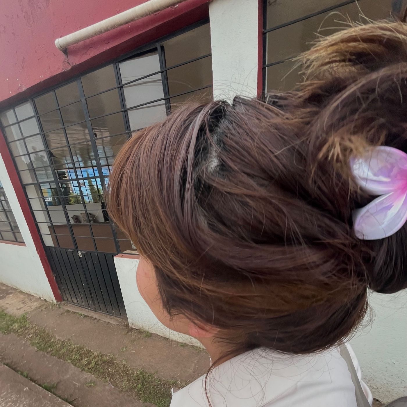 Innovación educativa.