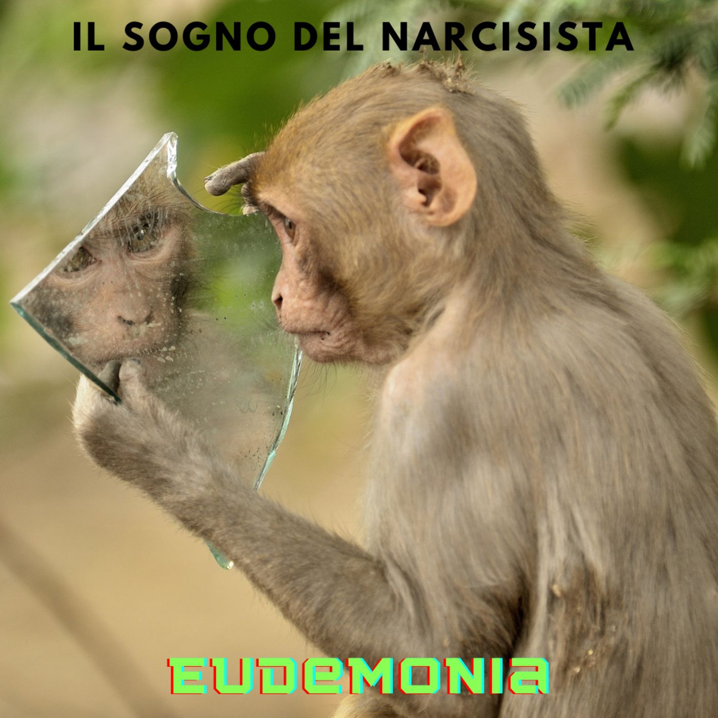 Il sogno del narcisista episode artwork