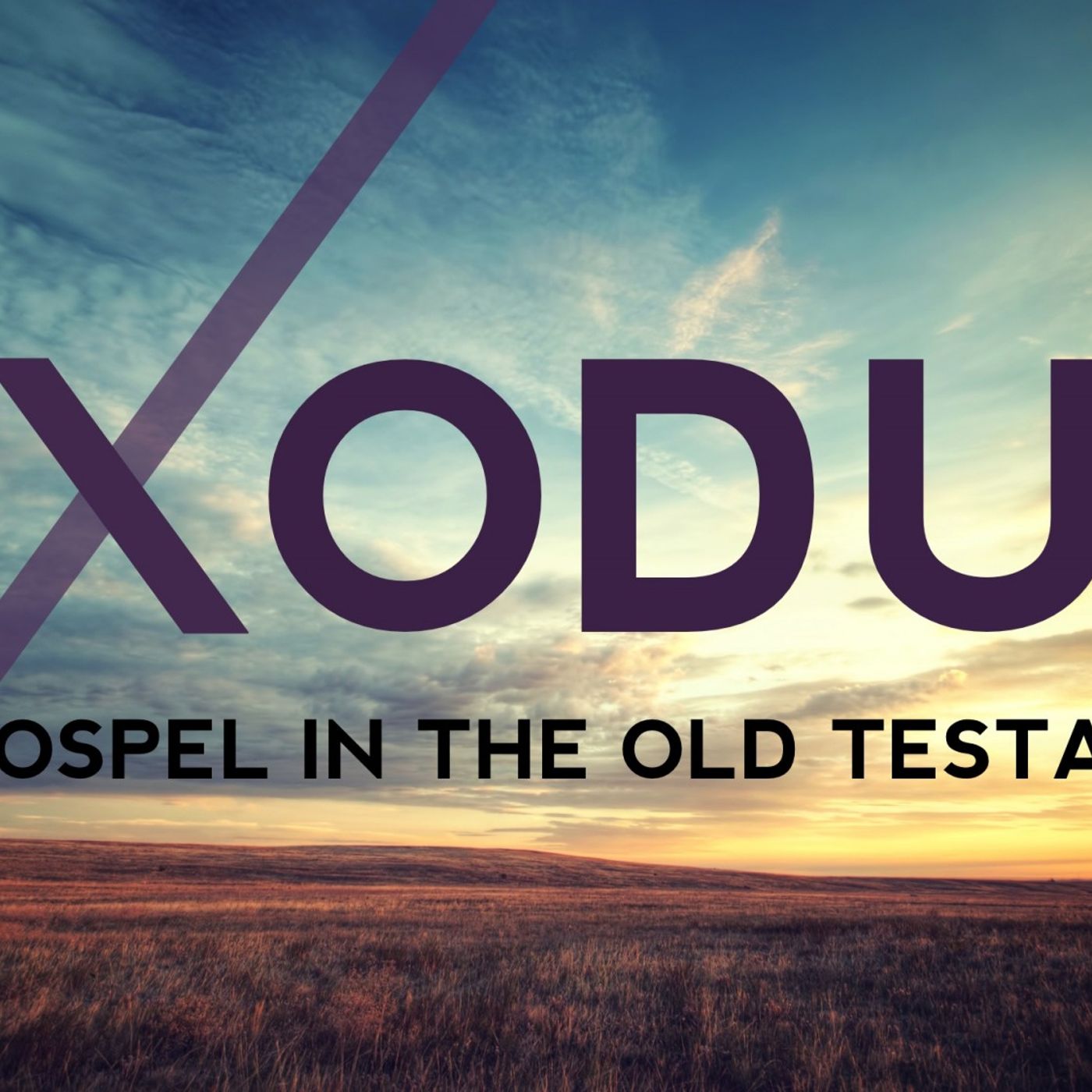Exodus  21-25 episode artwork