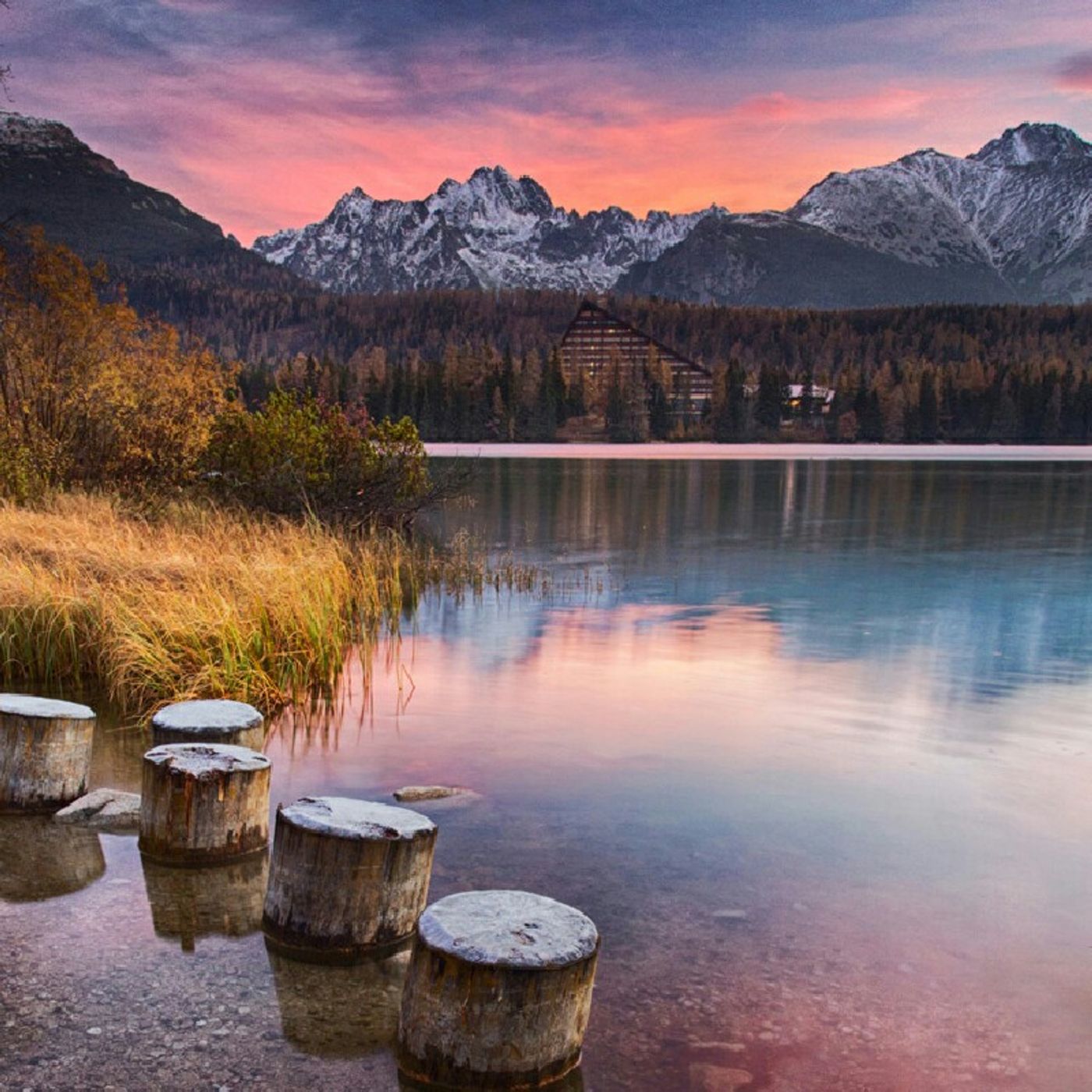 Los Libros De Darina Kabidenova