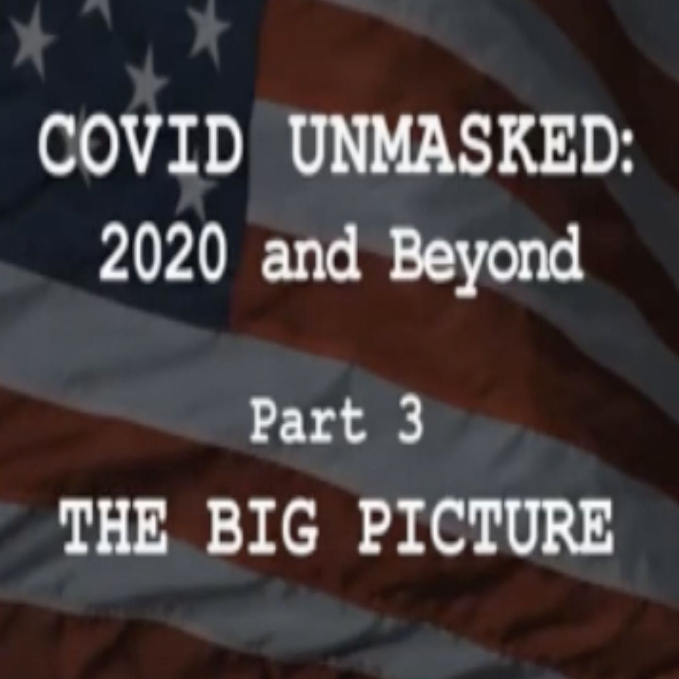 Covid Unmasked part 3 ”The Big Picture”  2020 and Beyond!