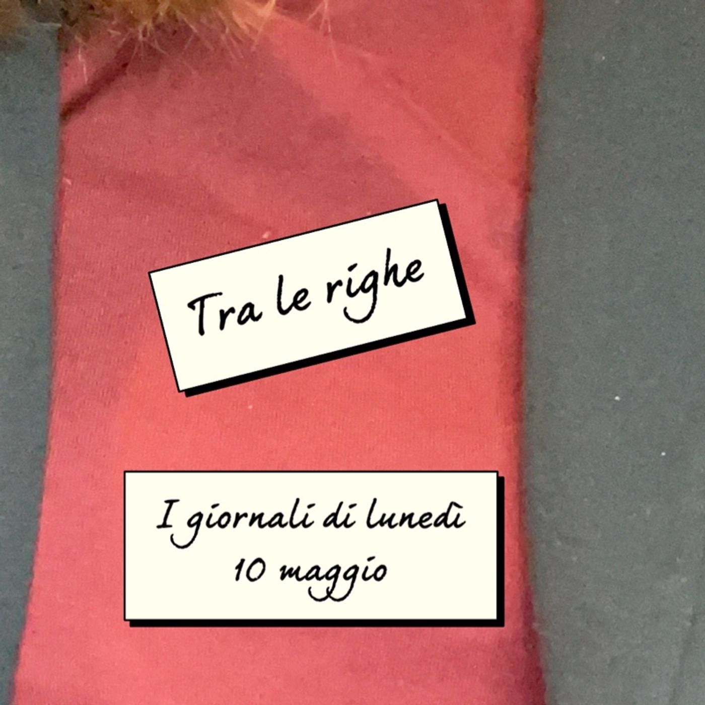La rassegna stampa di Claudia de Lillo
