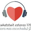 fastwhatstwit estereo 175.5