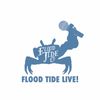 Flood Tide - Morning Tide Live